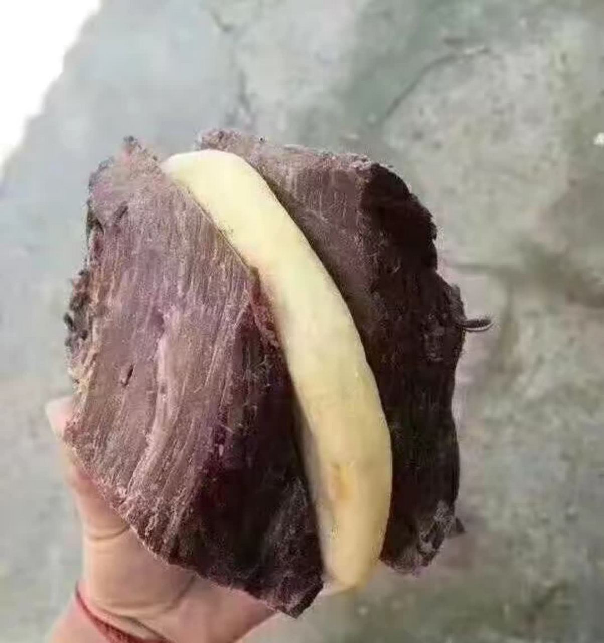 这叫肉夹馍,吃的只是肉夹馍[大笑][大笑]#搞笑