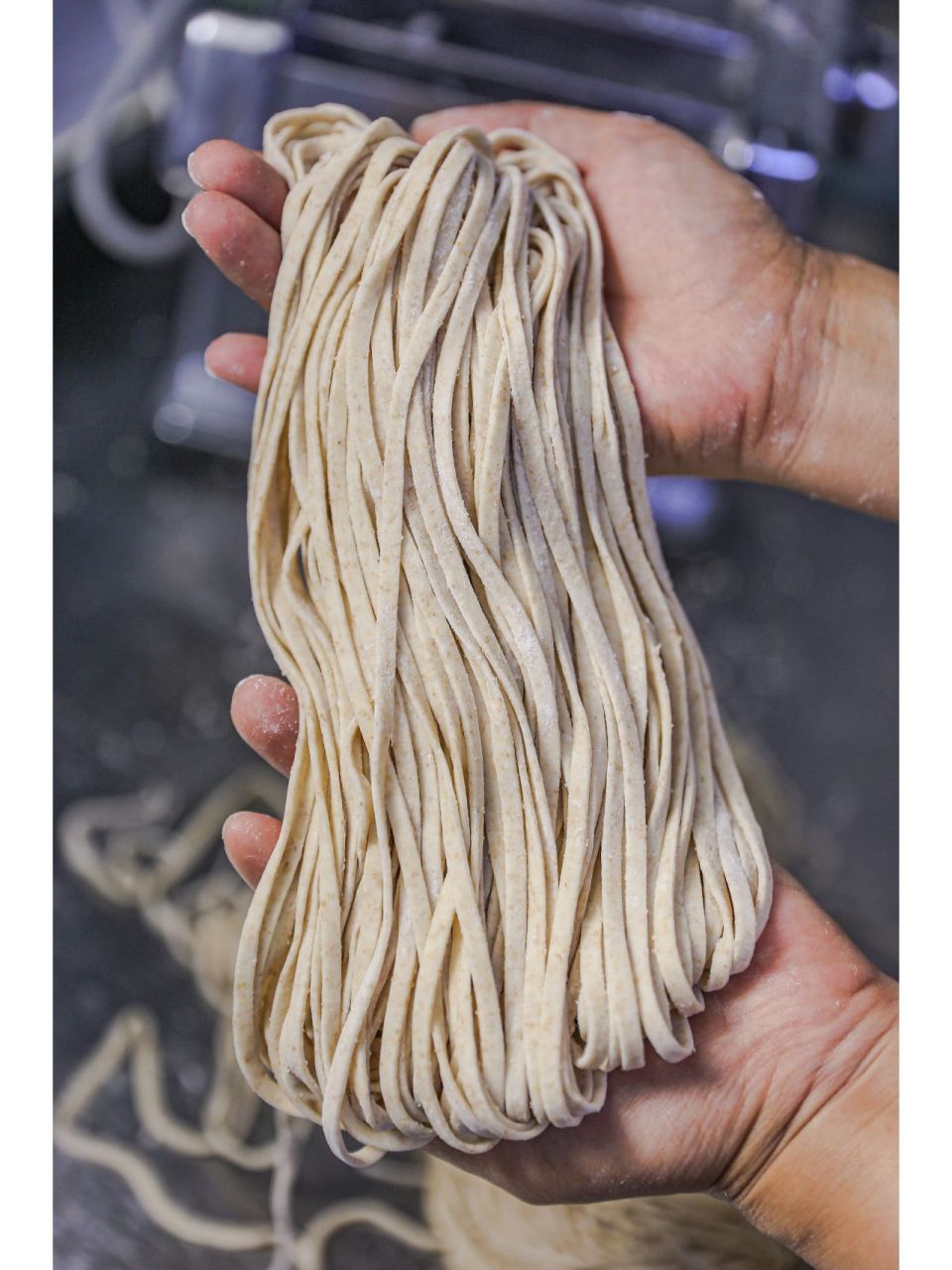妈妈做了几十年的全麦面条配方,顺滑劲道|||自制鲜切面在家做起来很