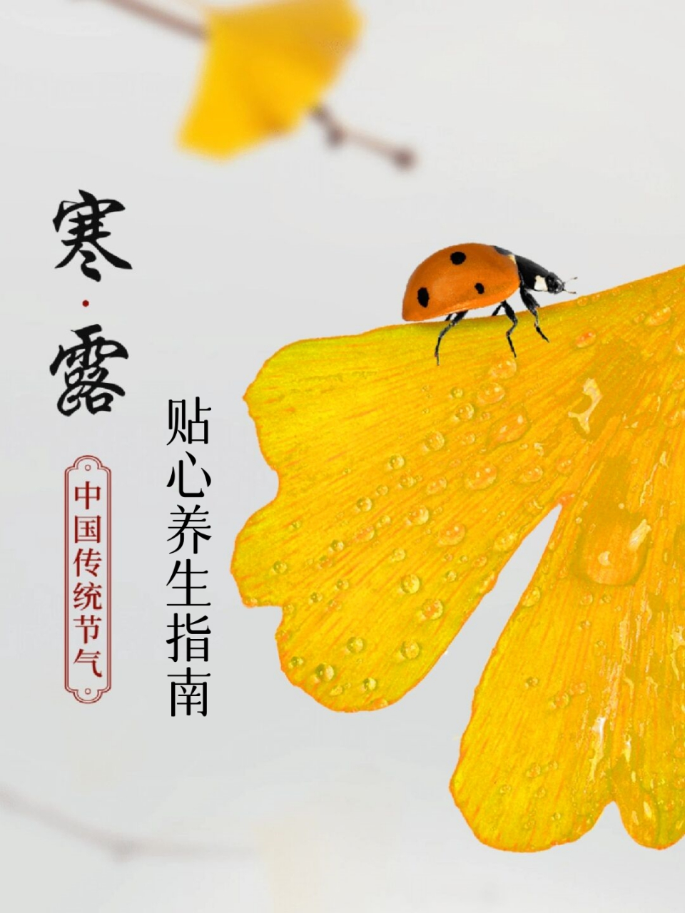 寒露时节,贴心养生指南.