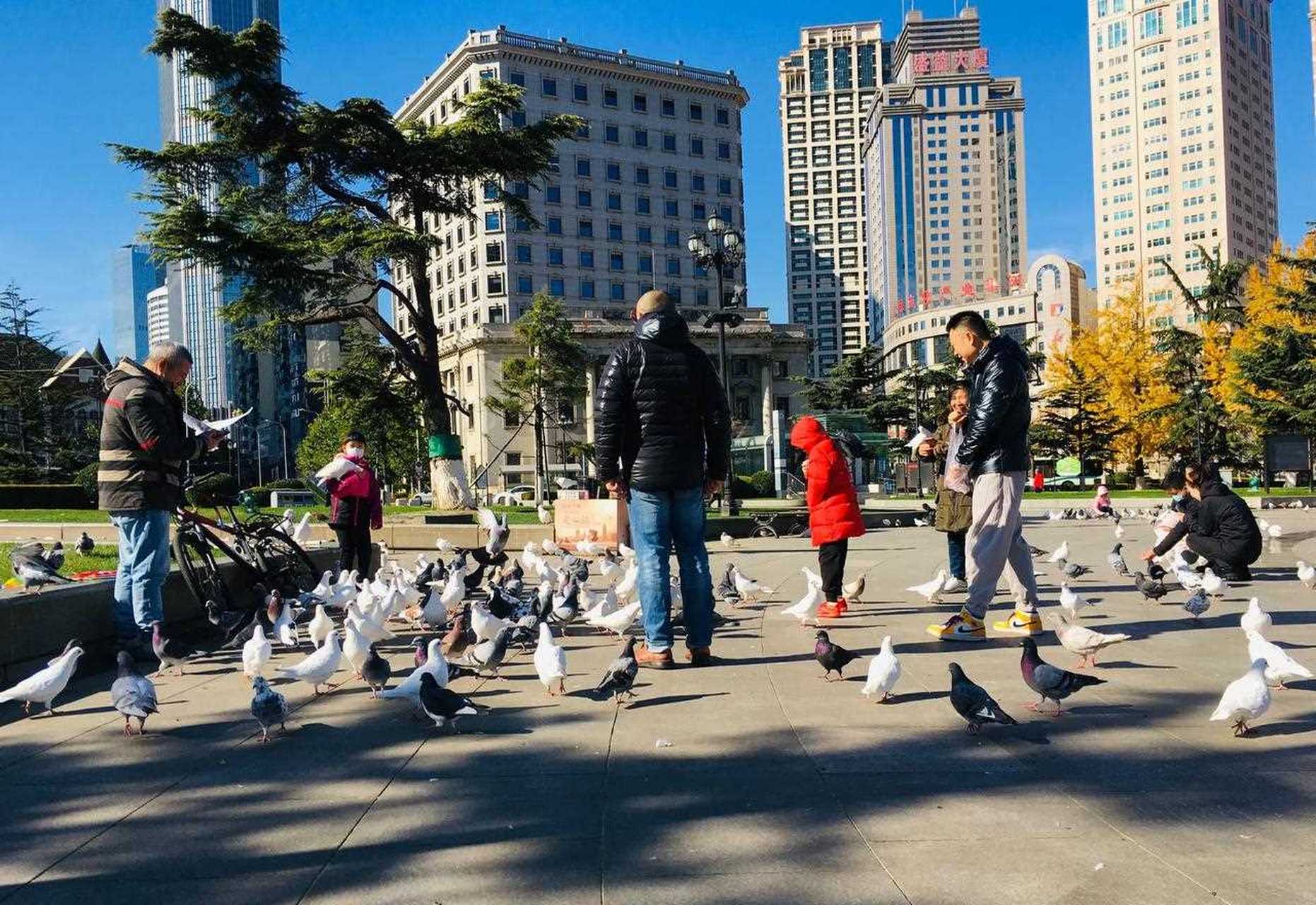 天气晴朗,人们纷纷走上街头.中山广场的鸽子吸引了众多游客前来观赏