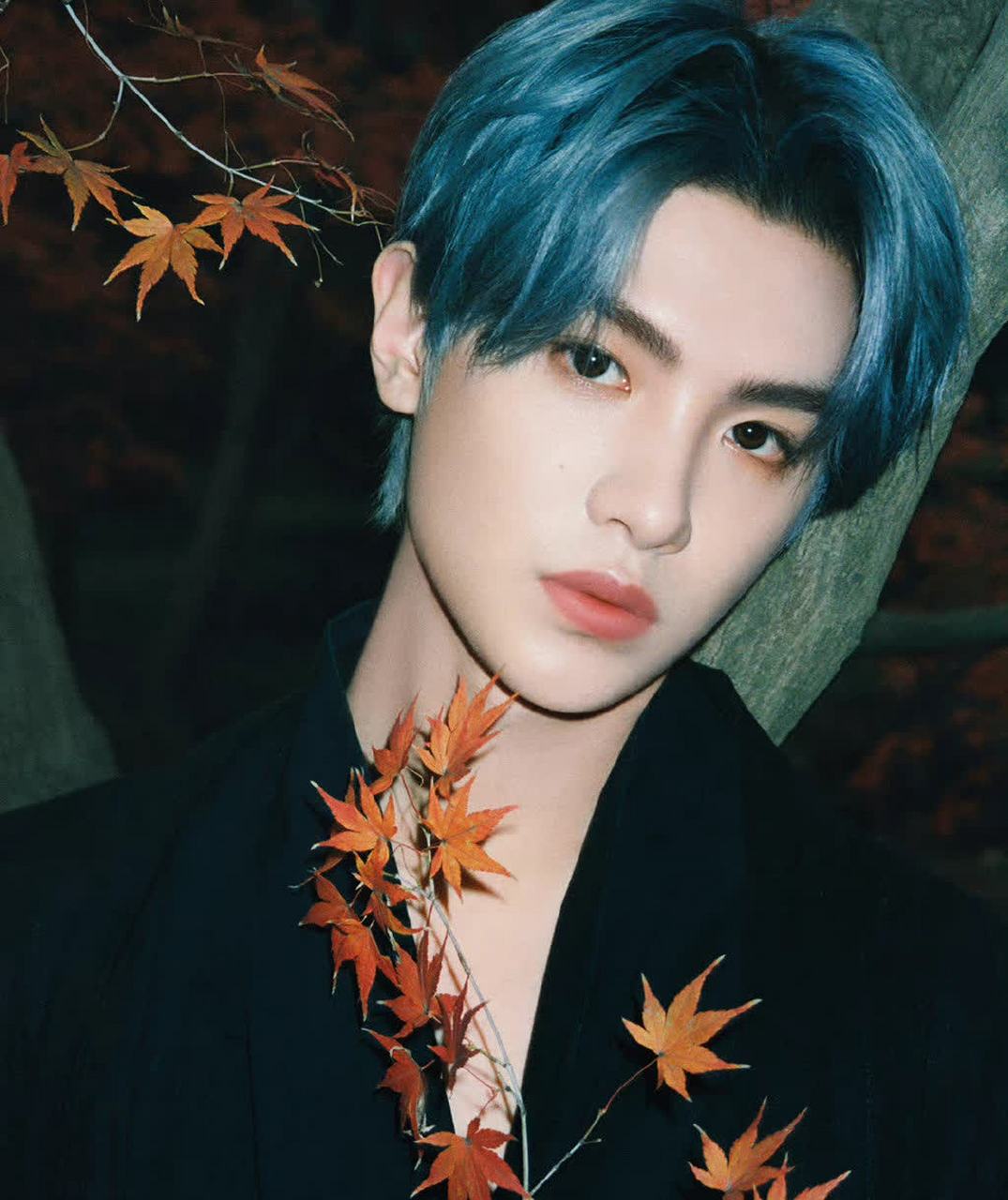 黄明昊一身古黑长袍,深蓝色的头发,在红枫的衬托下显得格外抢眼,仿佛