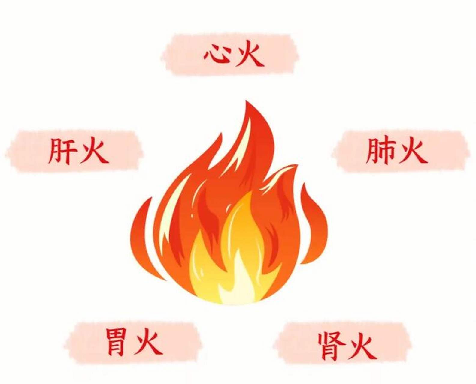 心有火——口腔溃疡,口干口苦,咳嗽痰多 肝有火——眼睛干涩,脾气