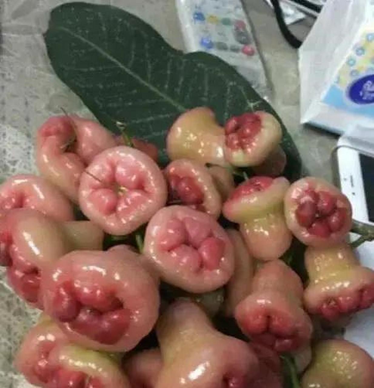 刚听到有人把这果子叫痔疮果,以后再也无法直视莲雾了