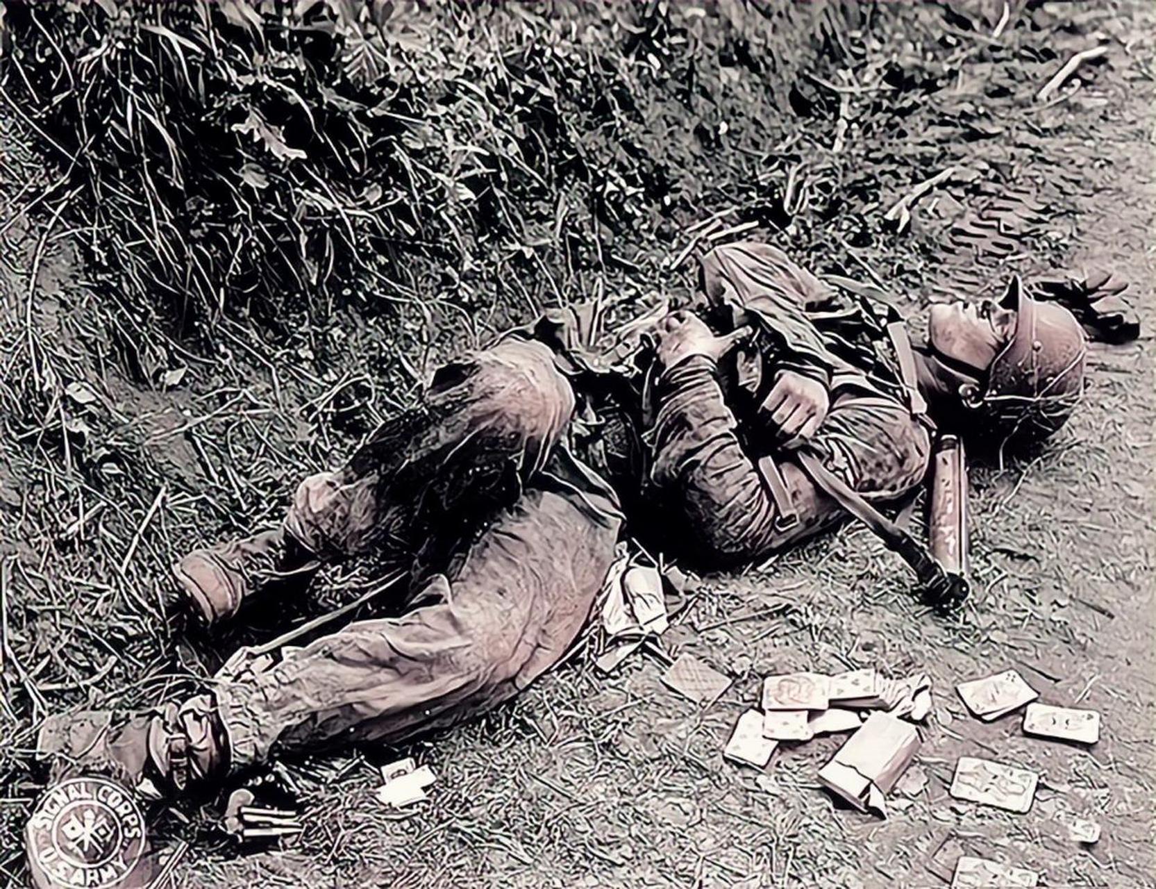 1967年,越南,一张阵亡士兵的照片