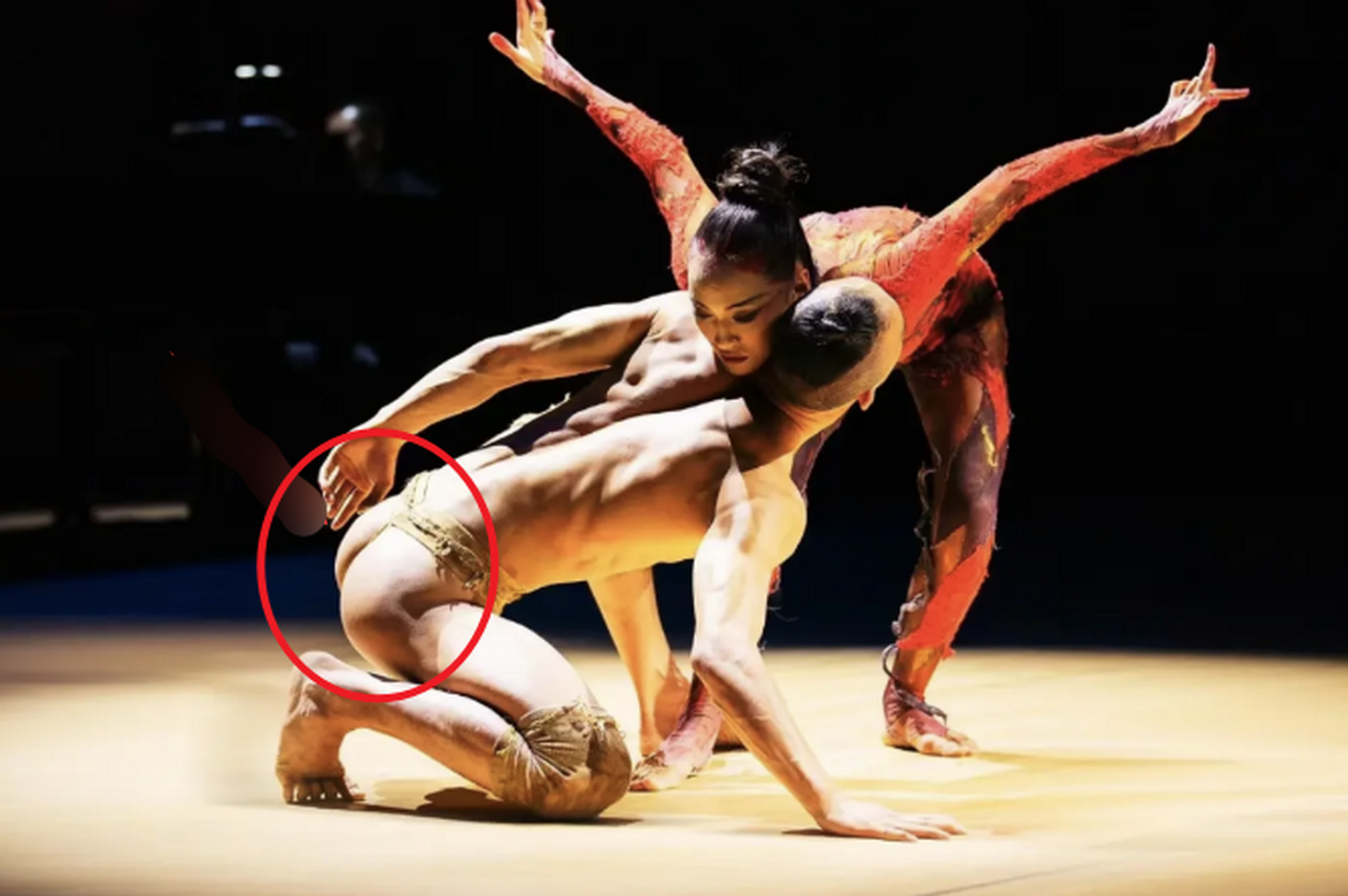 近日,有网友表示杨丽萍的孔雀舞真的是越来越变味了,和之前的风格