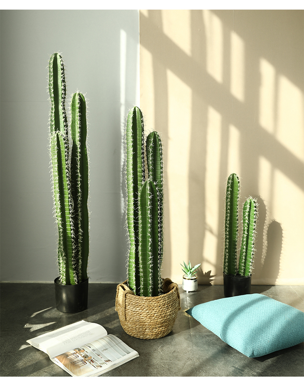 带你认识仙人柱——量天尺 量天尺是仙人掌科量天尺属木本植物,分枝