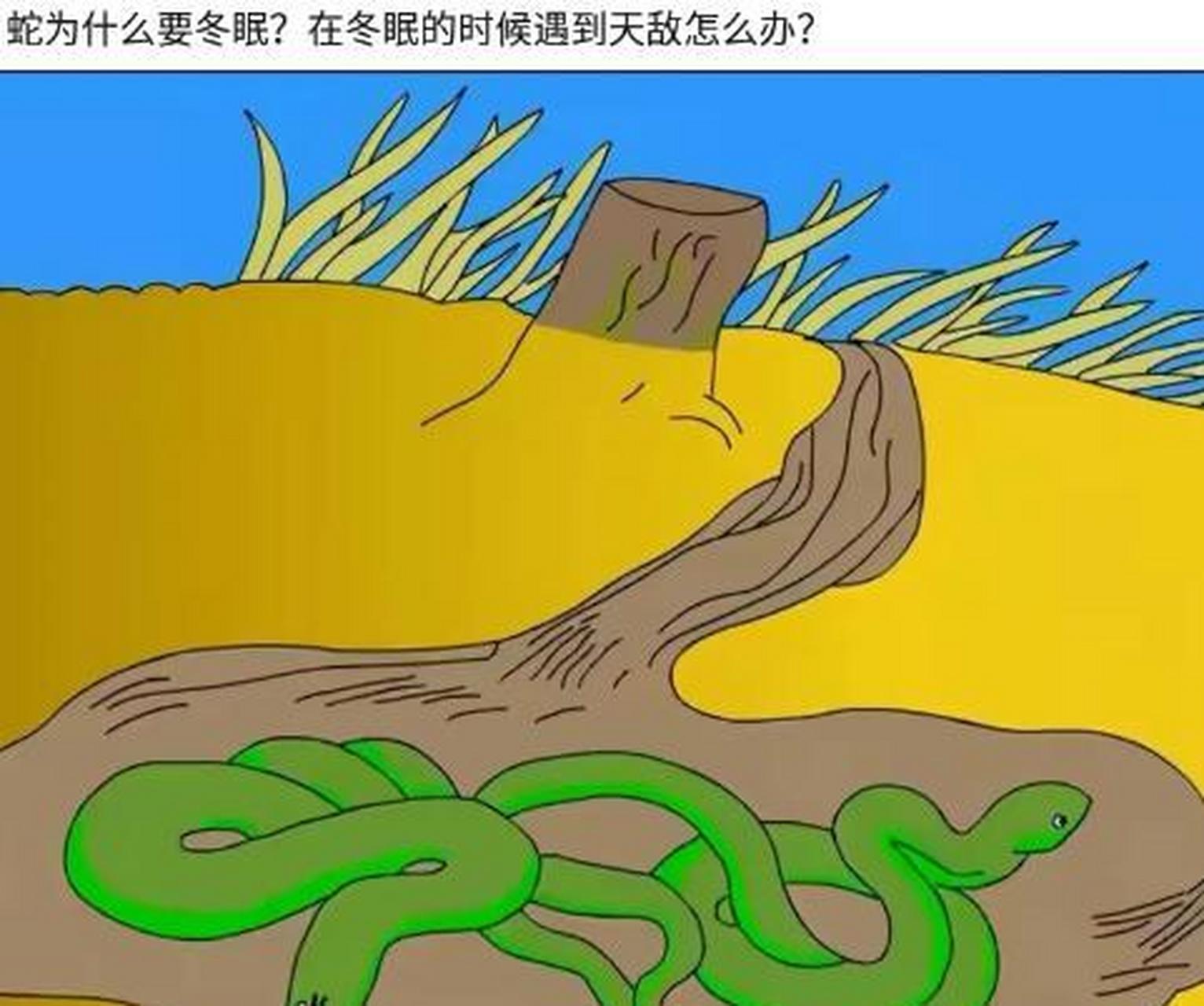 蛇冬眠的图片漫画图片