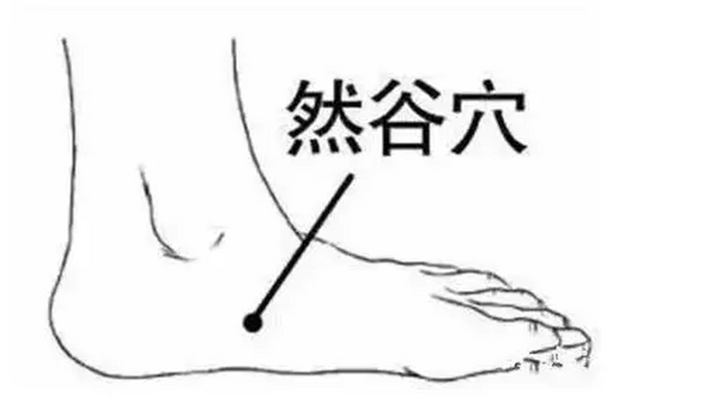 太溪穴 能够清热利湿 大拇指由上往下刮按,过程中会有痛感,建议每天