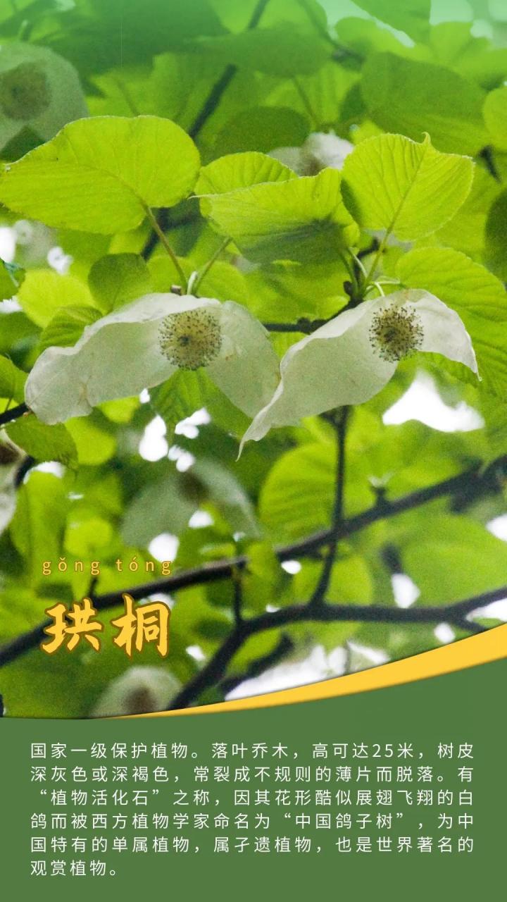 王波兰同时肩负了多个型号及技术基础条线的管理重担.