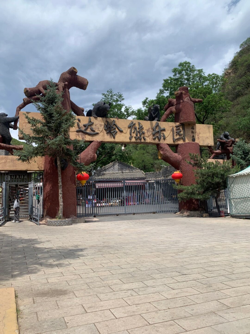 黑熊乐园|很有气质的大黑熊  长城下来后竟然到了熊乐园,好多只黑熊