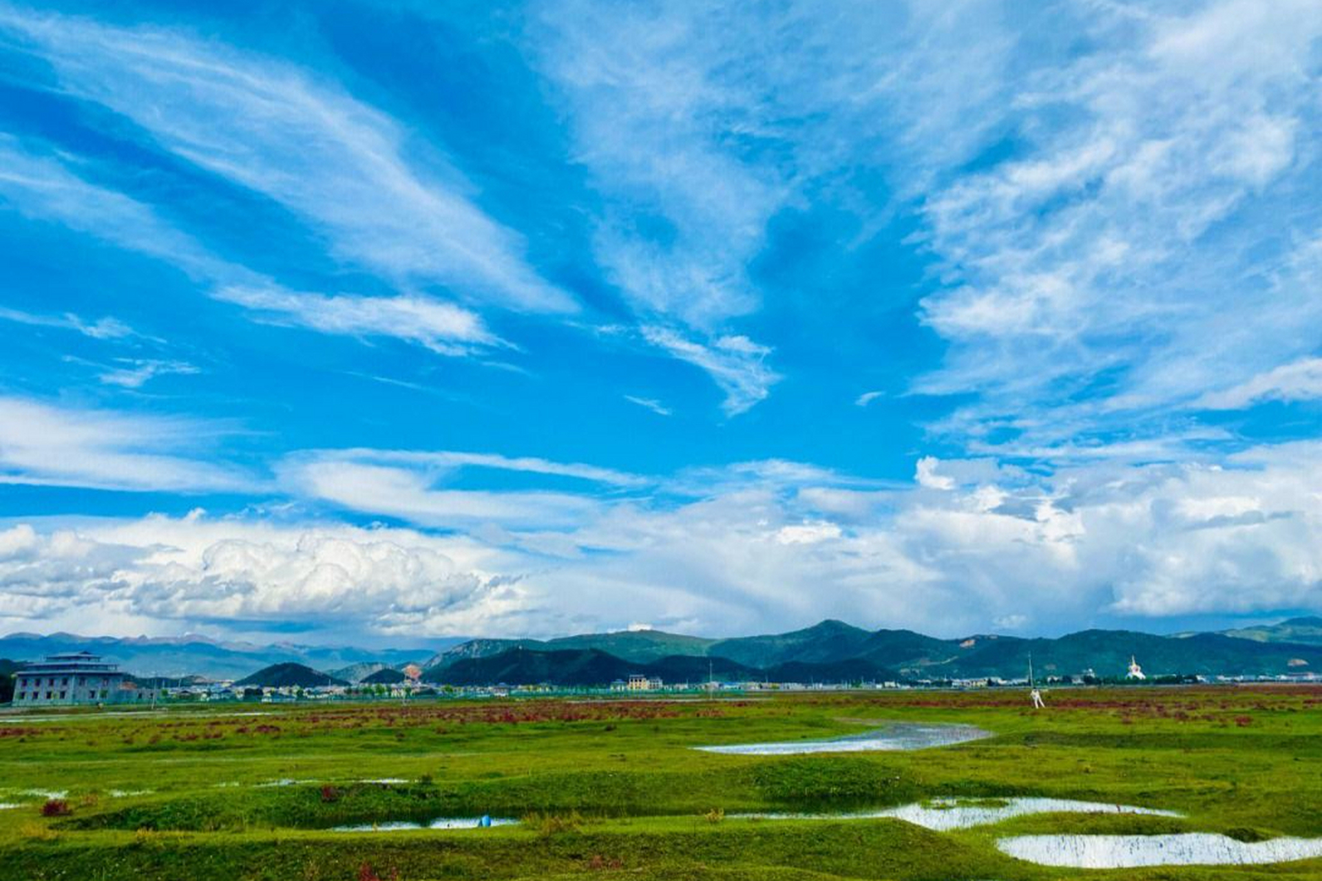 纳帕海香格里拉大草原图片