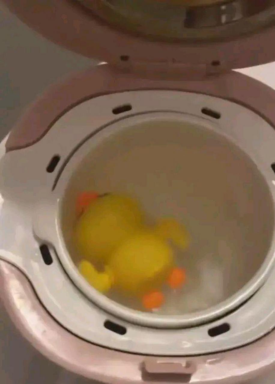 这样的饭菜我都不敢言声 #趣图搞笑