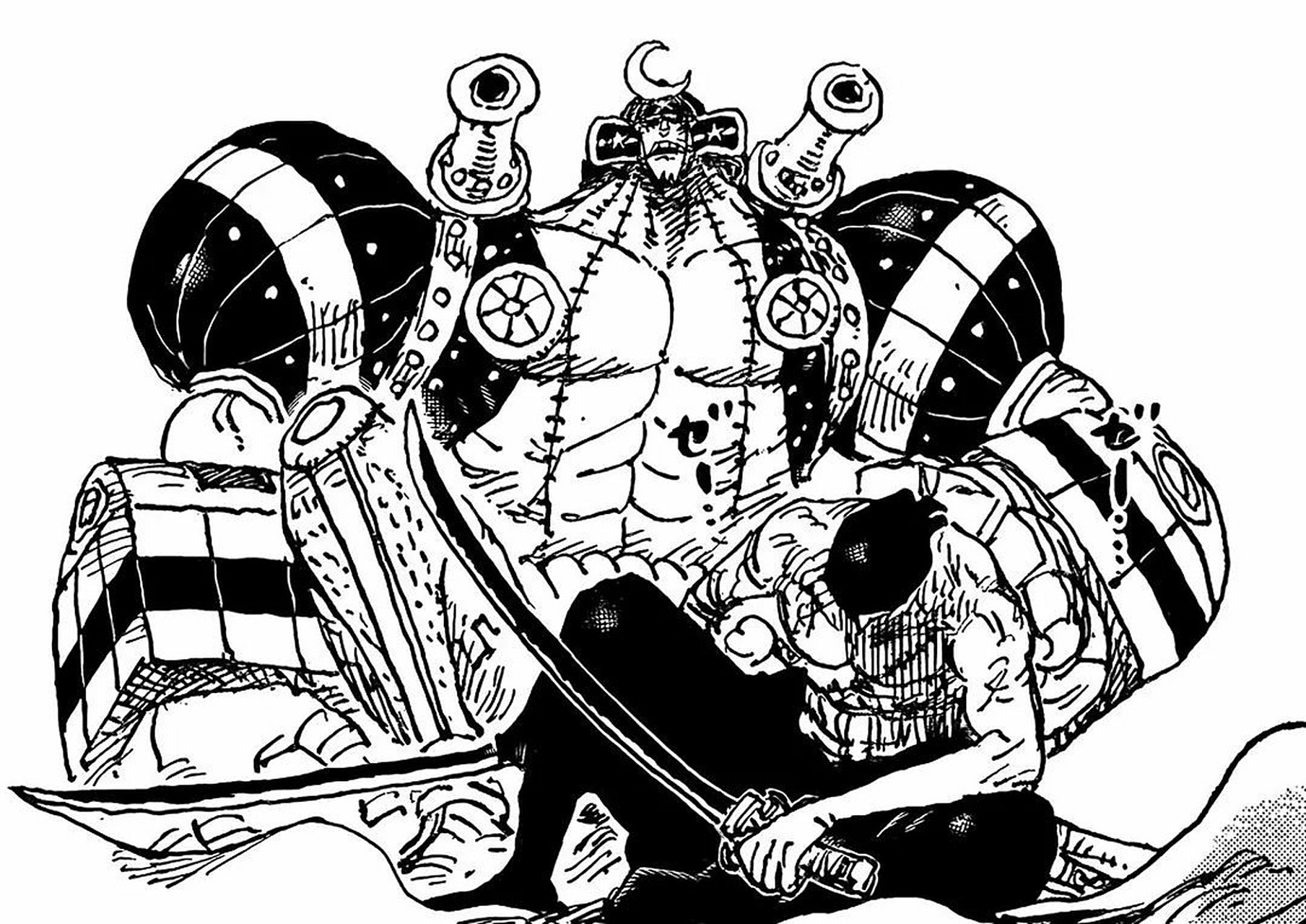 索隆和弗兰奇#动漫