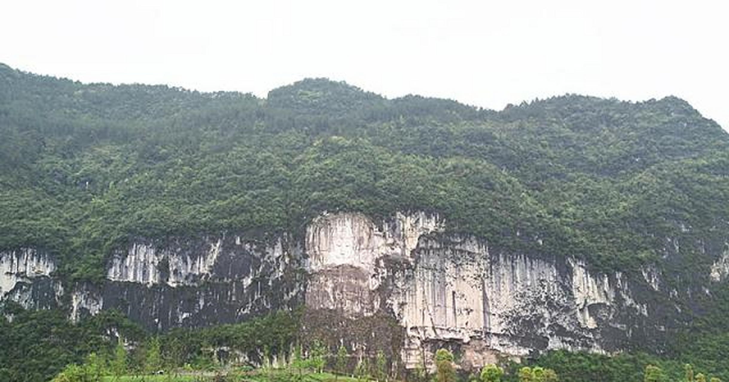 黔江芭拉胡图片