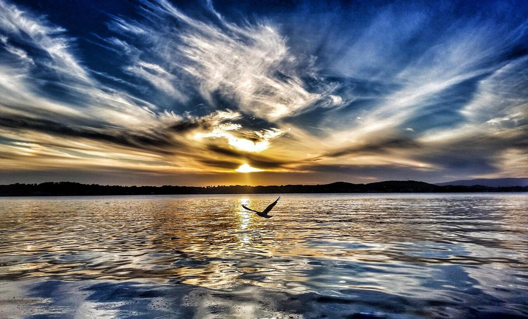 tnc每日一图# 迎风前行,翱翔于天际.摄影: natalie bennett