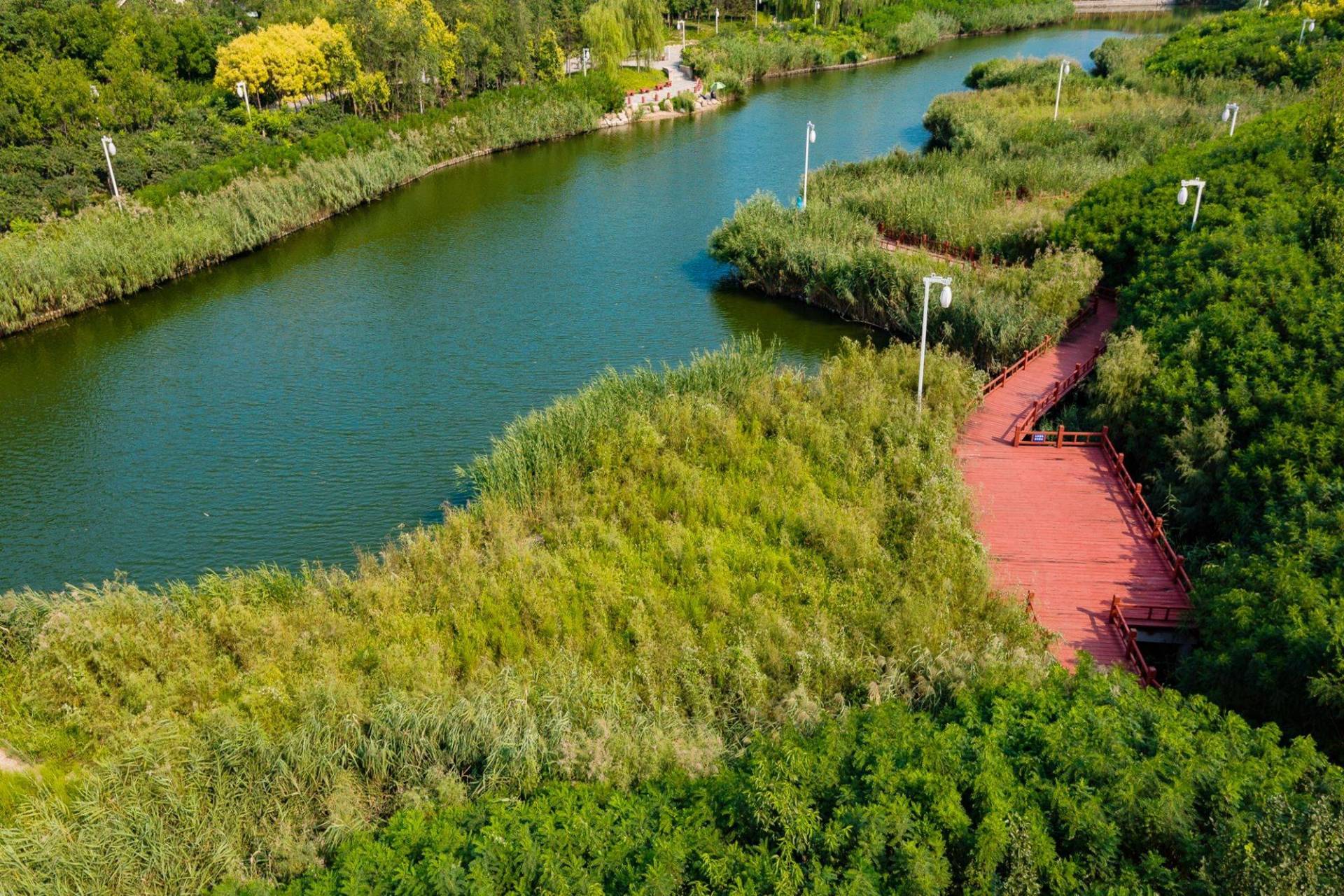 蓟运河故道公园,位于天津市滨海新区中新天津生态城动漫北路,是隐藏在