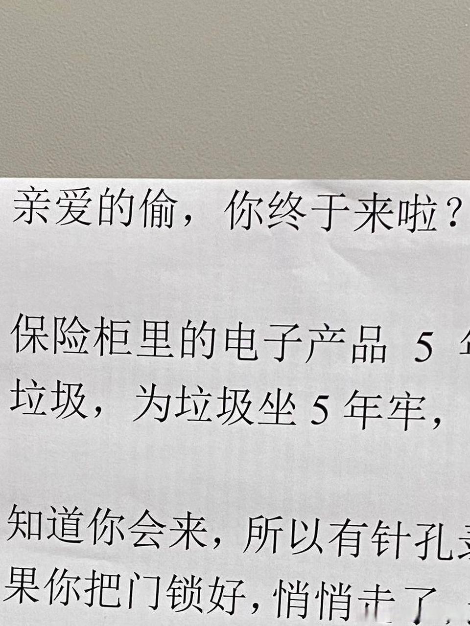《亲爱的偷,你终于来了》
