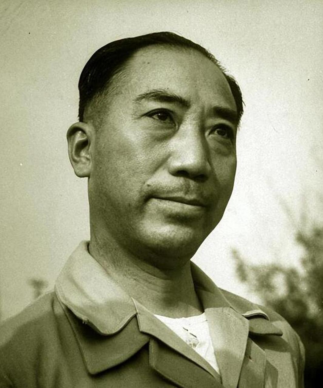 抗战时期,我们的军队特工李时雨为了国家利益,勇敢地潜伏在敌人的营地