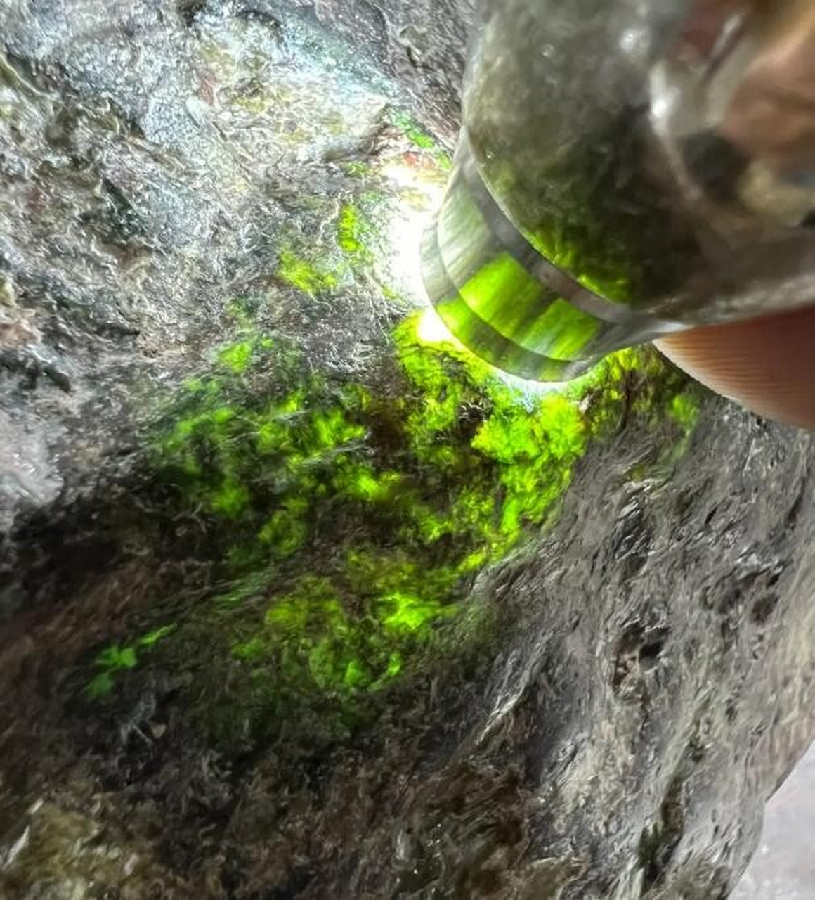 翡翠原石# #点击头像看直播# 会卡场口青蛙皮,皮壳起油,压灯荧光缸沣