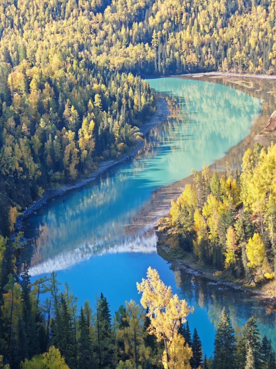 我稍微劝退一下喀纳斯三湾徒步,如果体力允许,可以选择坐车,下车