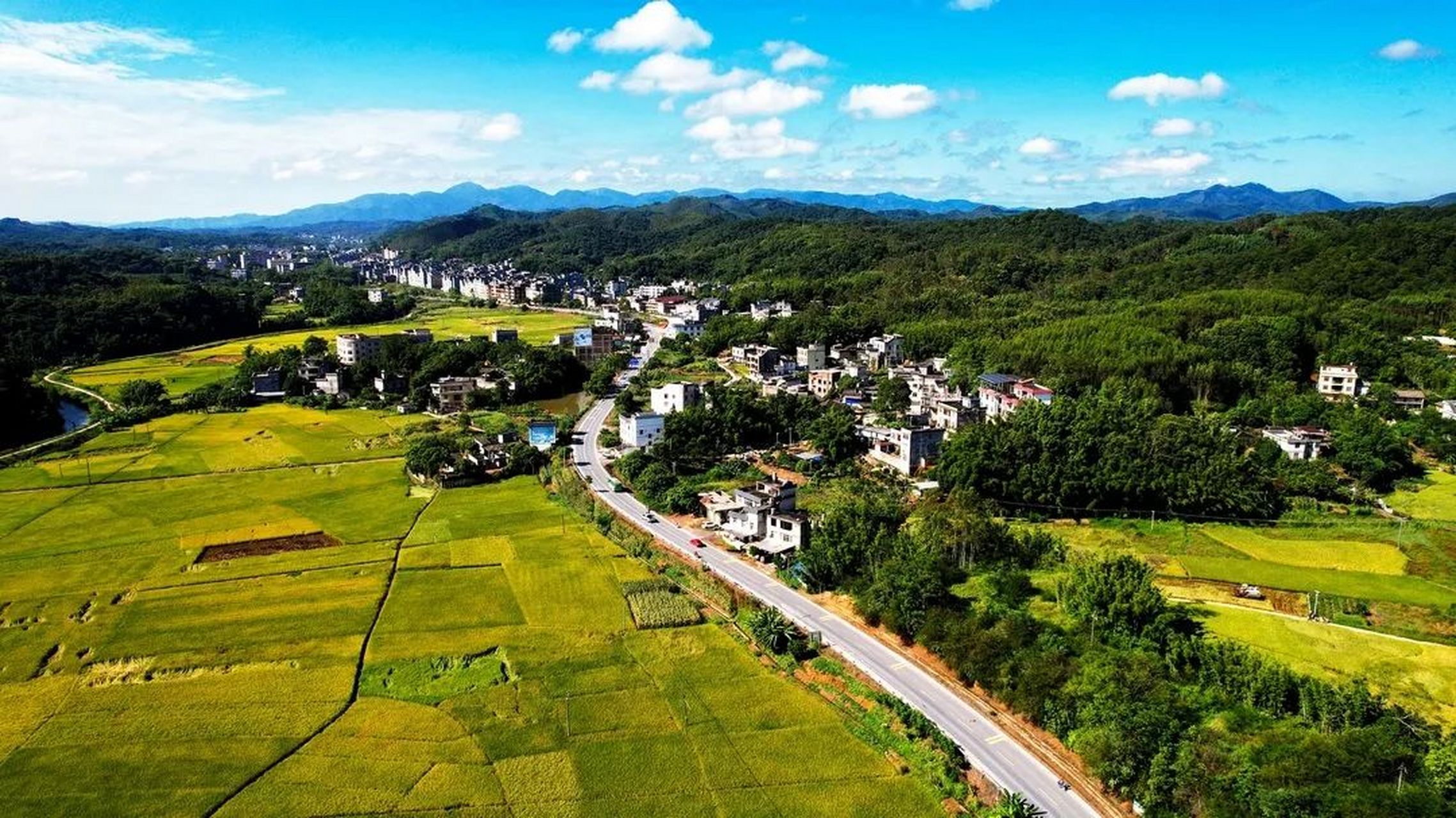 一路风景,一路秋色 - 藏在国省干线公路上的玉林最美秋天 93   你
