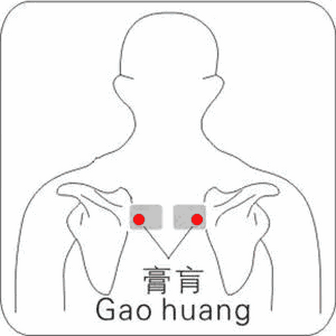 膏肓痛图片