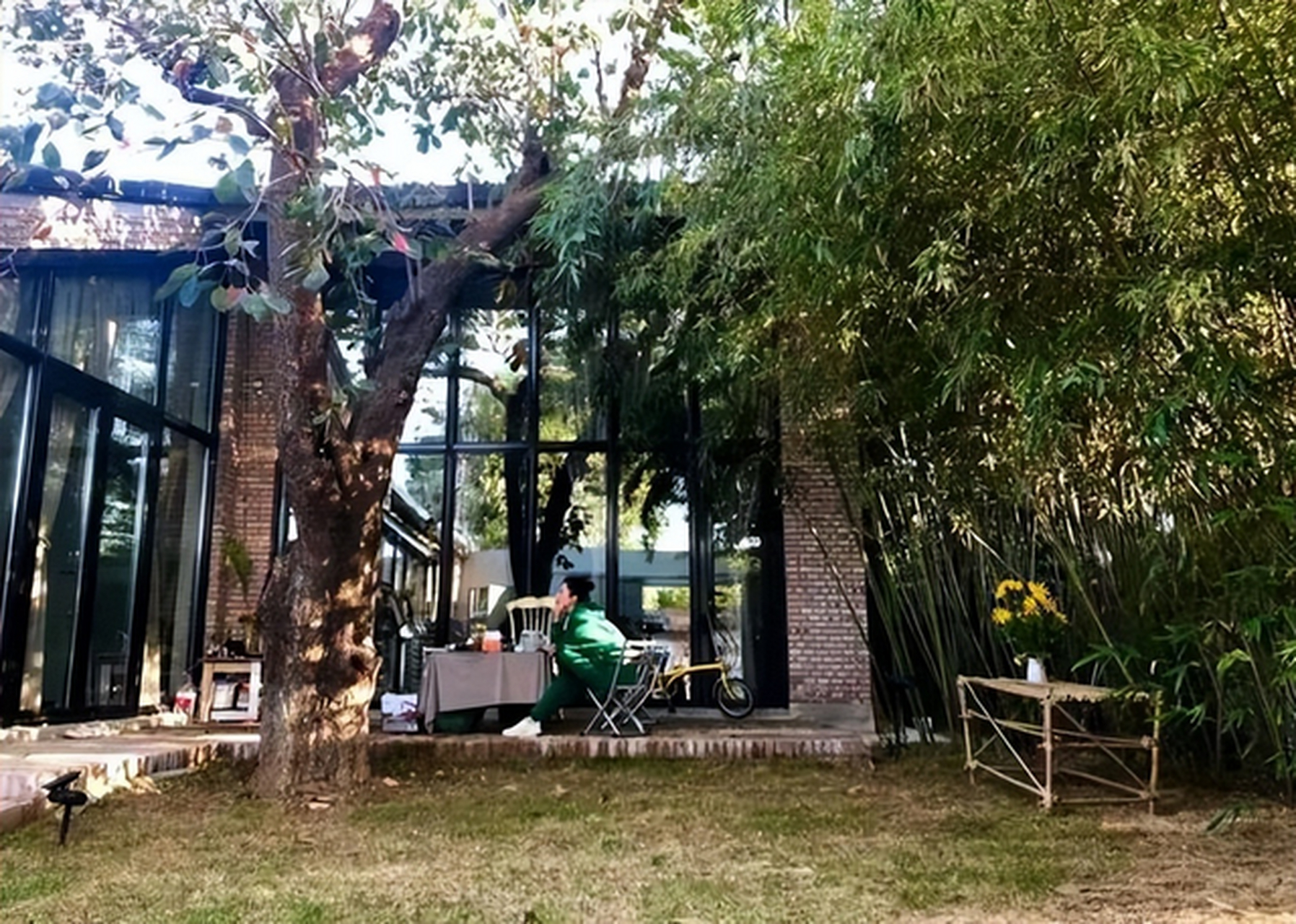 43岁殷桃的"豪宅"火了,屋内屋外种满花花草草,犹如"世外桃源",美极了!