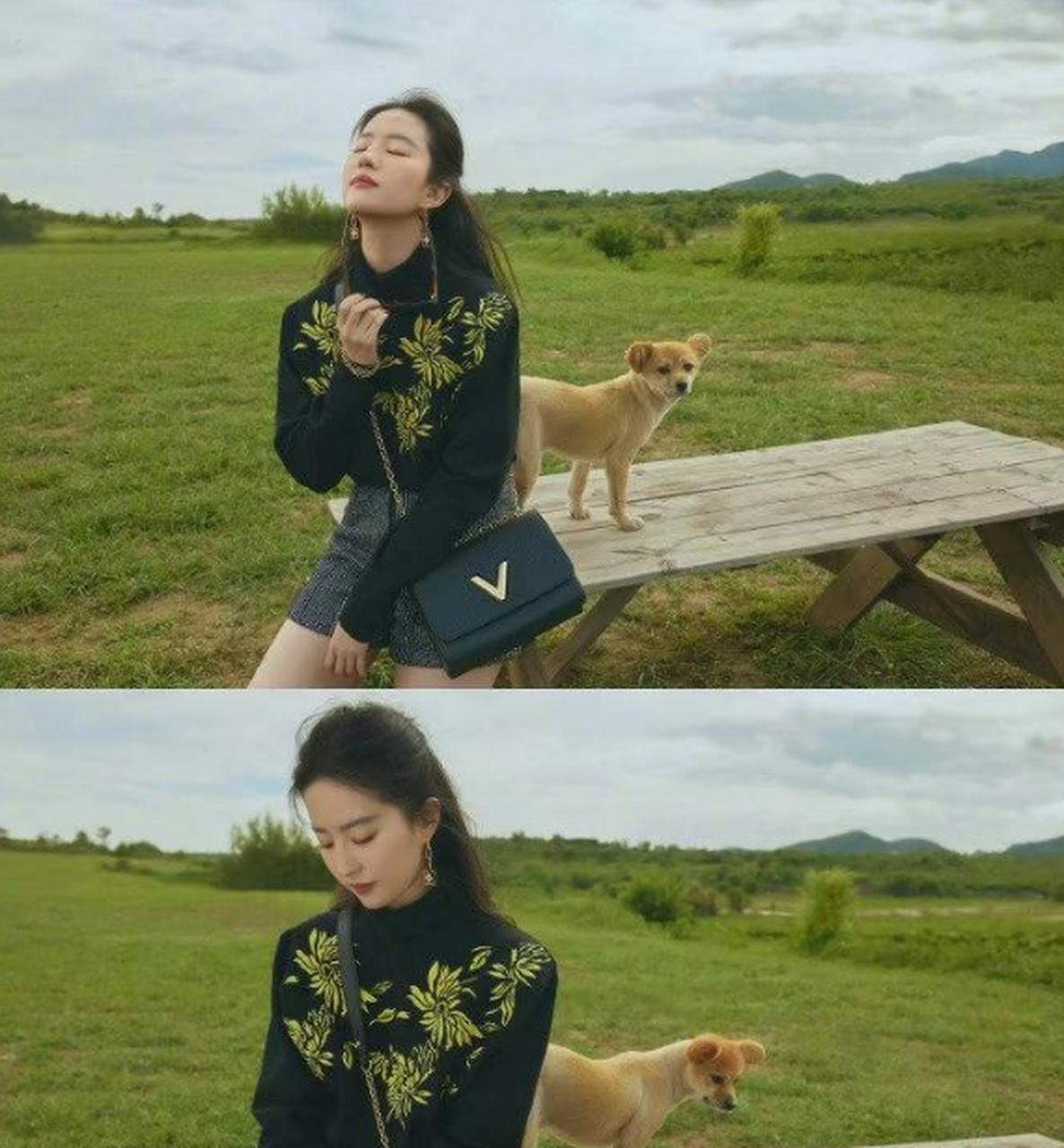 这么美,刘亦菲云南文旅有没有给颁一个旅游形象大使的奖呀?