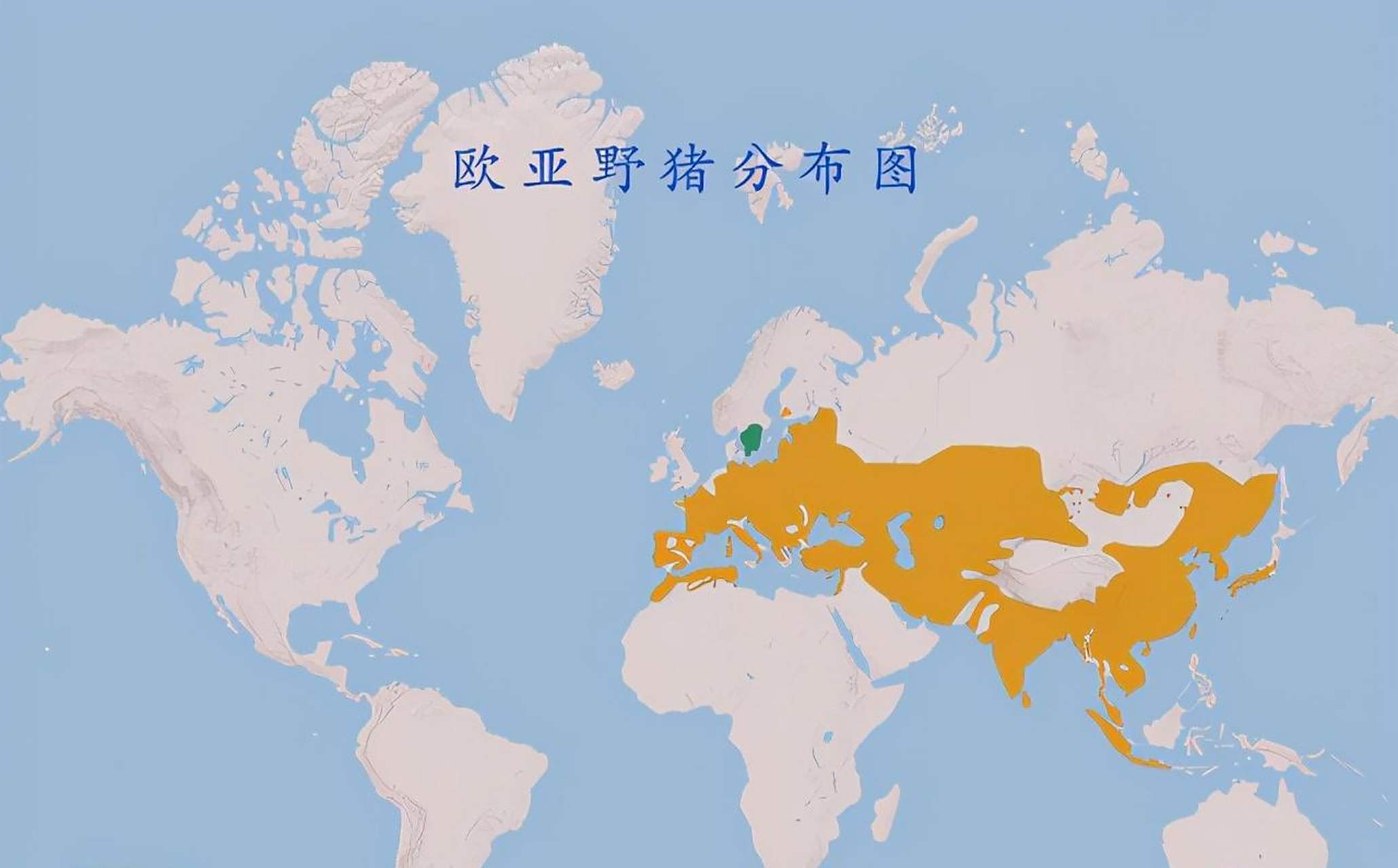 野猪在美国泛滥成灾,每年损失十几亿,为什么人们不吃了它?