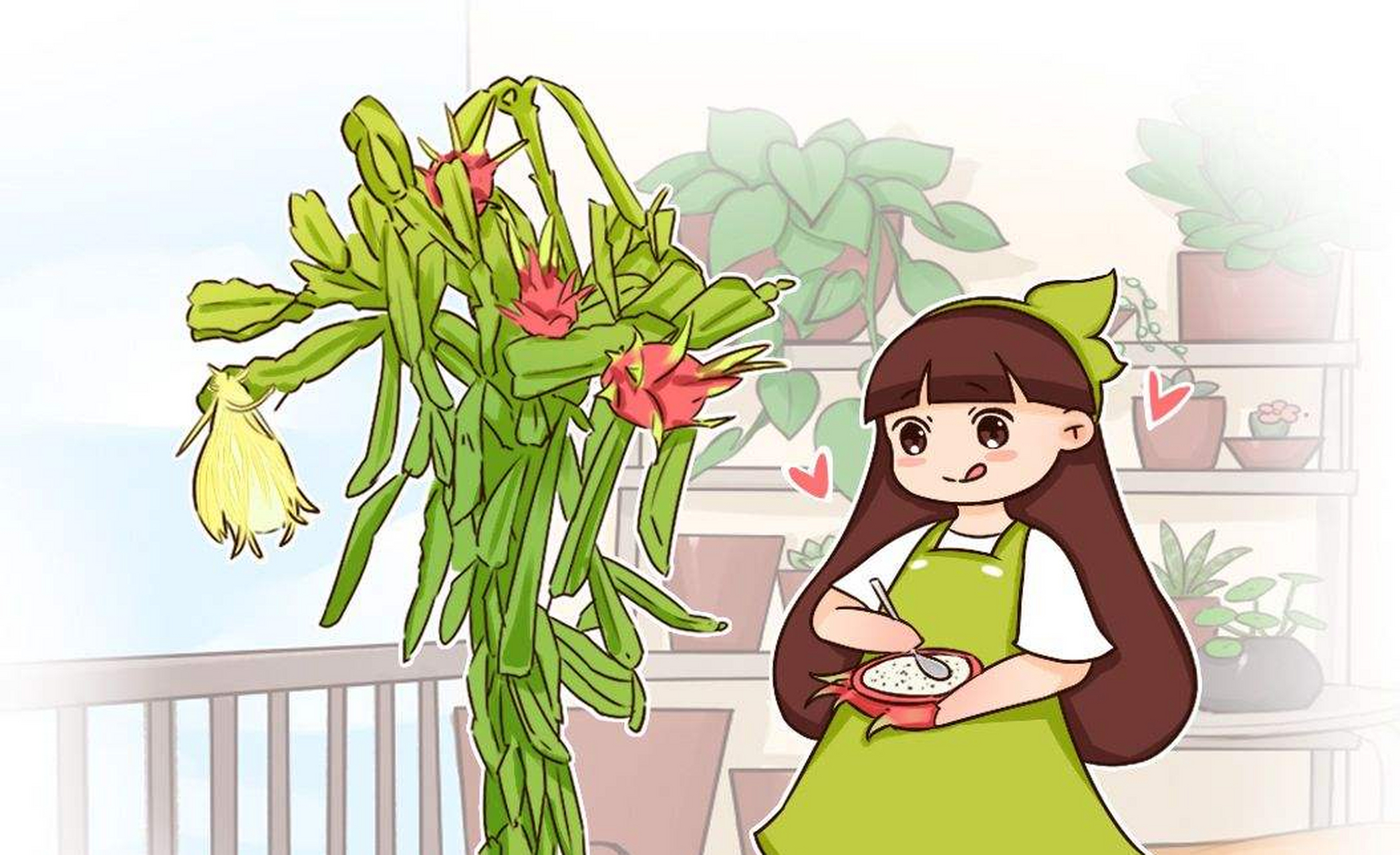 火龙果在南方才会长得更好,在北方养护的话,如果不是专业养殖,基本上