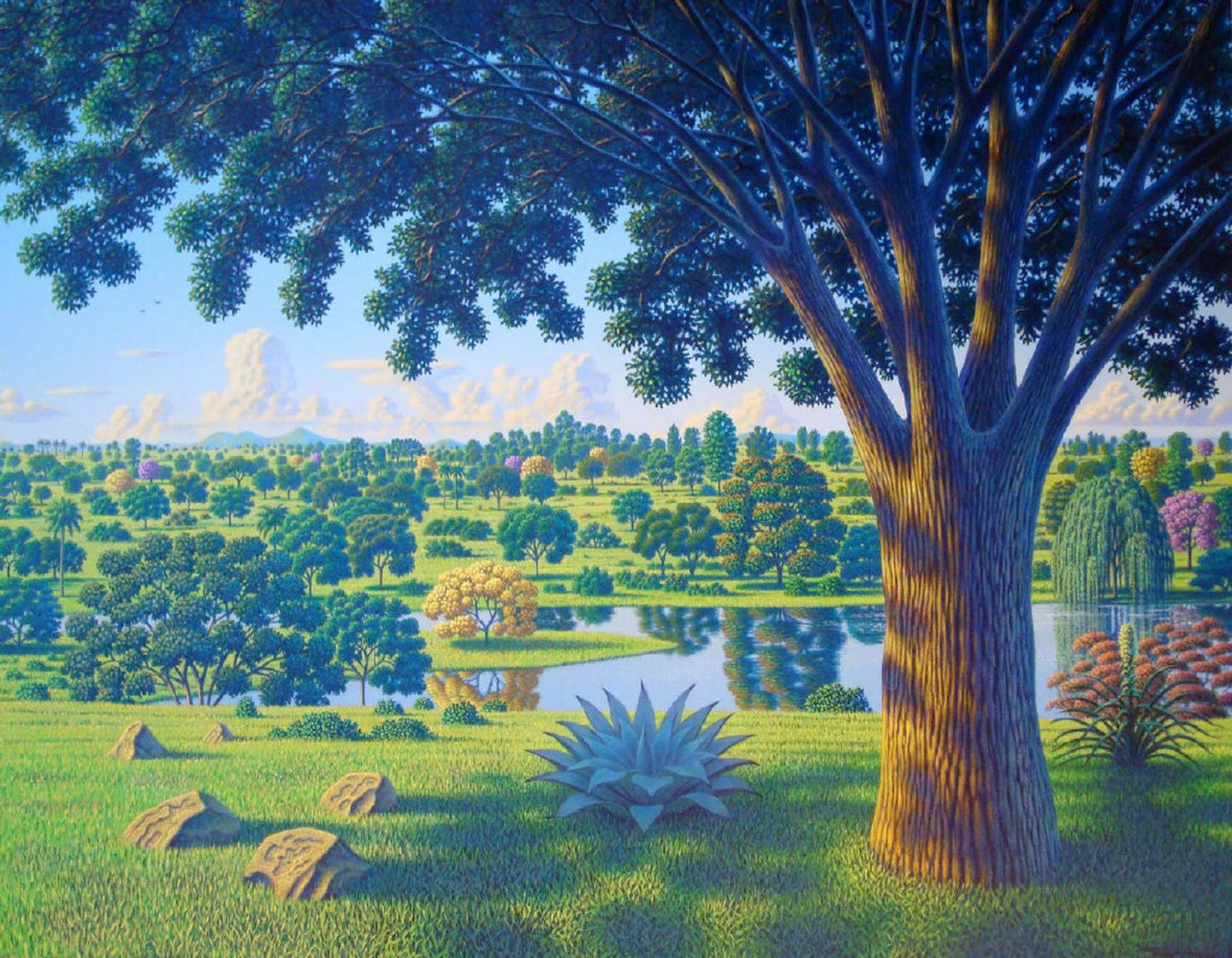 tuco amalfi,巴西艺术家,他的作品倾向于描绘某些灵性的场景,为风景