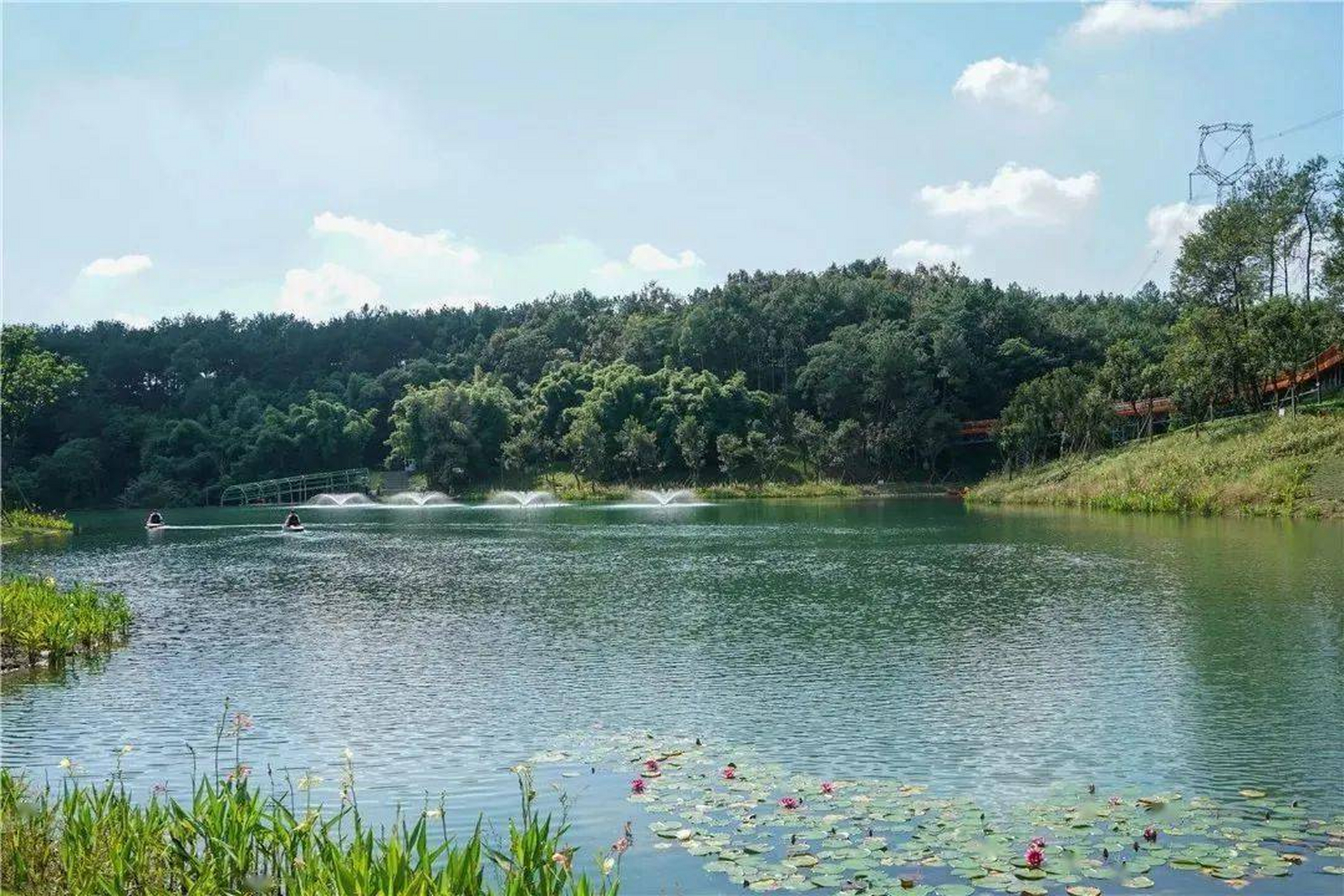 双流永安湖森林公园:它是典型的一个水与山融,林与屋融,人与情融的