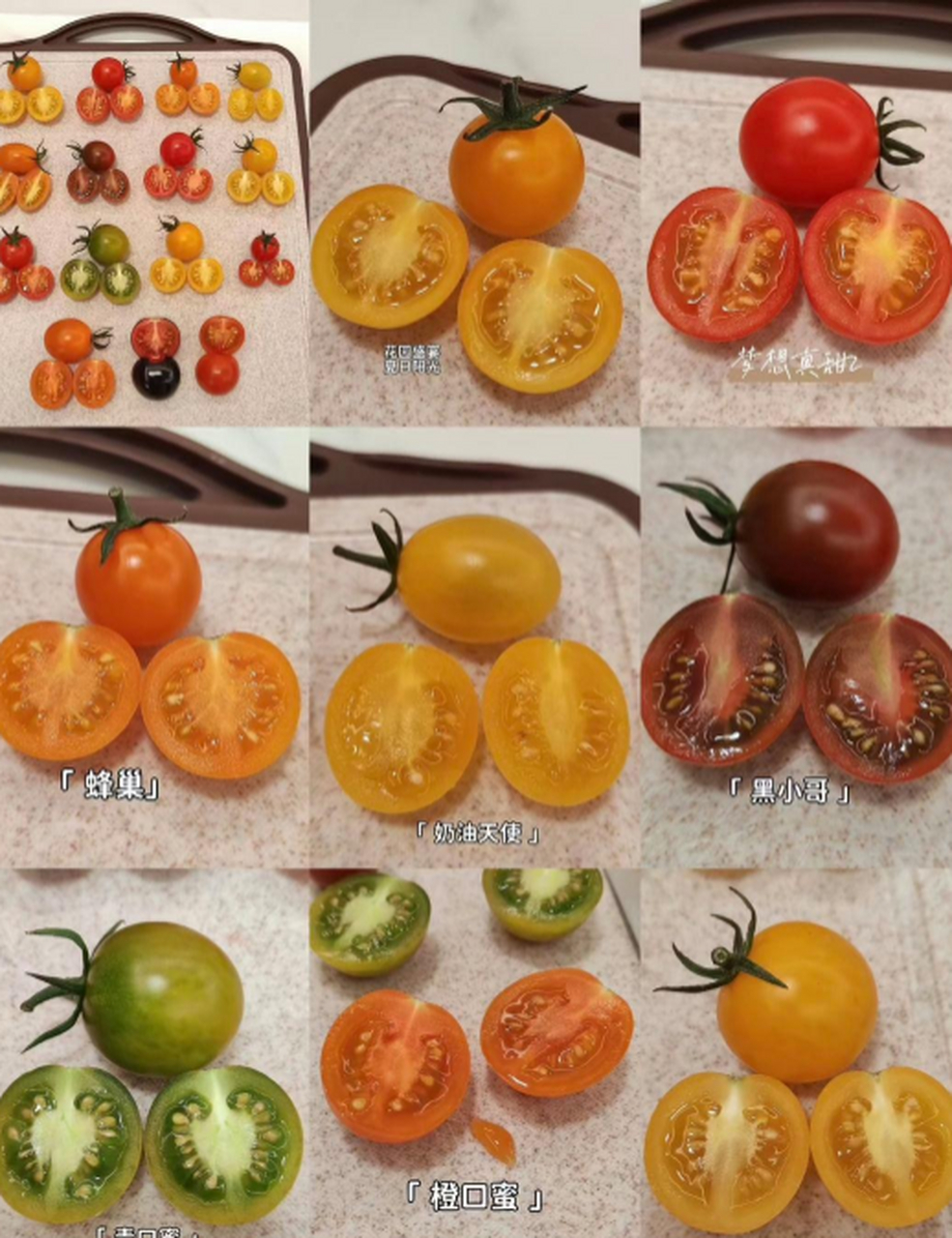 原来小番茄有这么多种类啊,长知识了