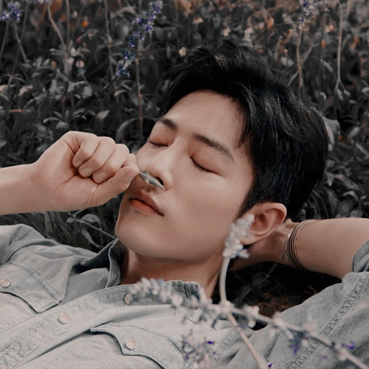 肖战懒懒的躺在草地上…  我解开了你衬衫的第一粒纽扣…[舔屏][舔屏]