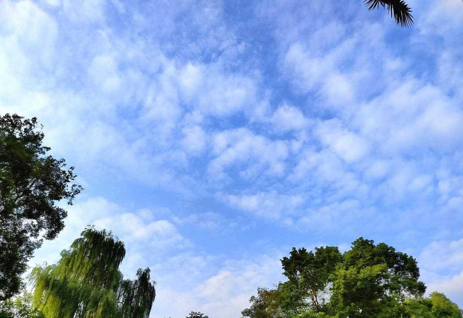 成都今天的藍天白雲圖[咒罵] 是風和日麗的雲圖 的雲圖像小動物[呆]