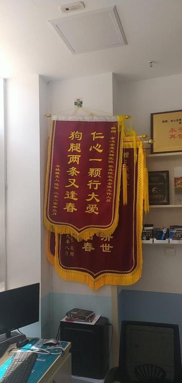 这样的锦旗你有见过?绝绝子 去一个宠物店,给我家的狗狗看病.