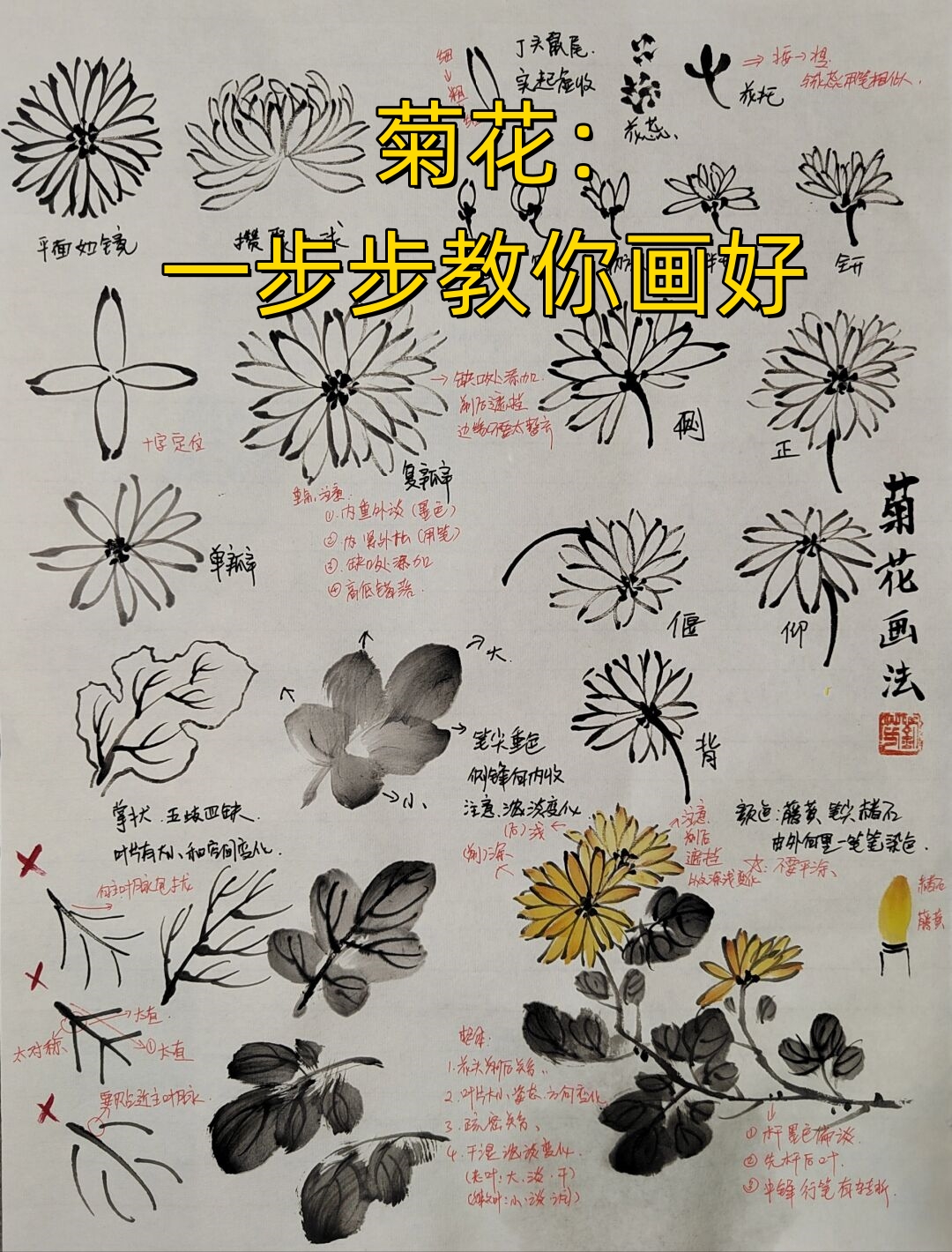 菊花详细教程分解 准备工具:选.@画淡云飘月的动态