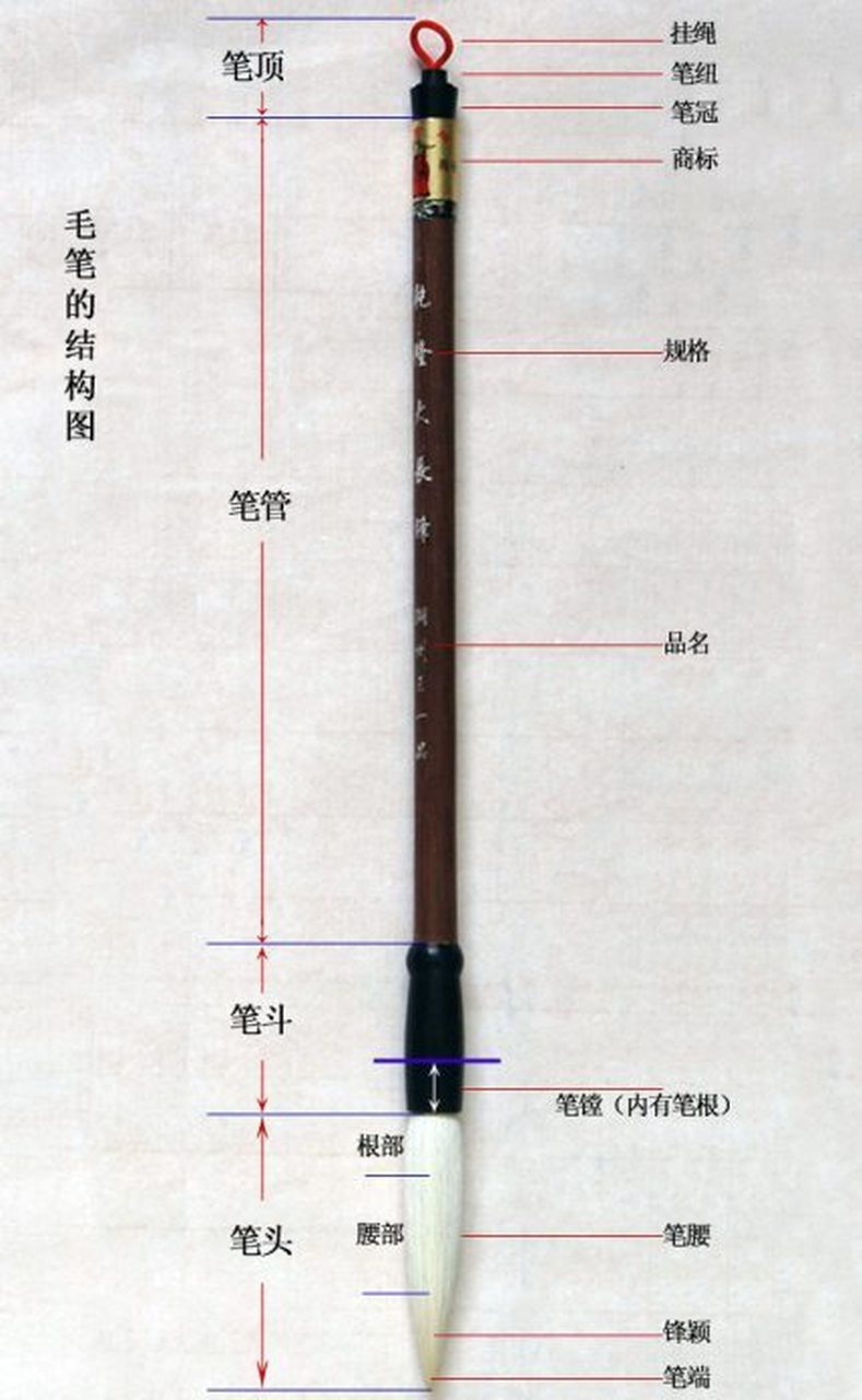 万毫齐力称之为健,掌握选笔技巧,选出真正好笔!#书法