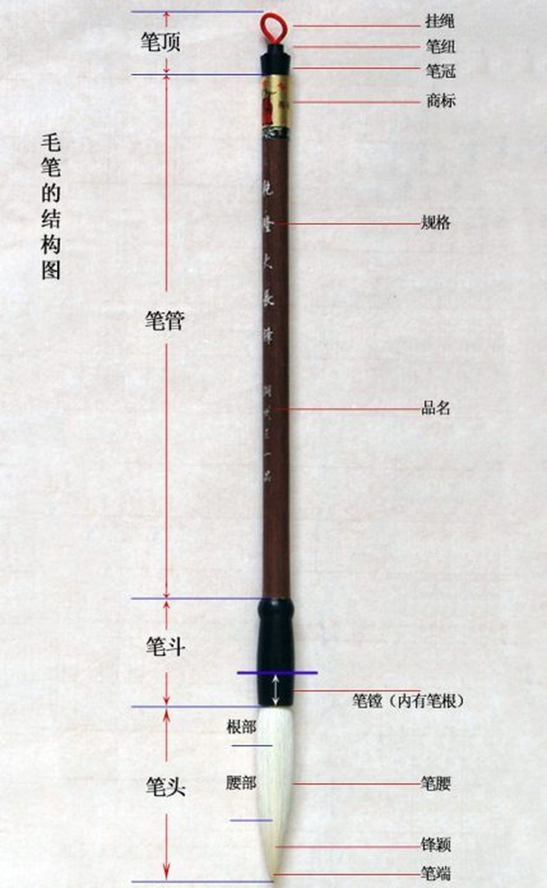 【涨姿势】毛笔的构造及图解 .