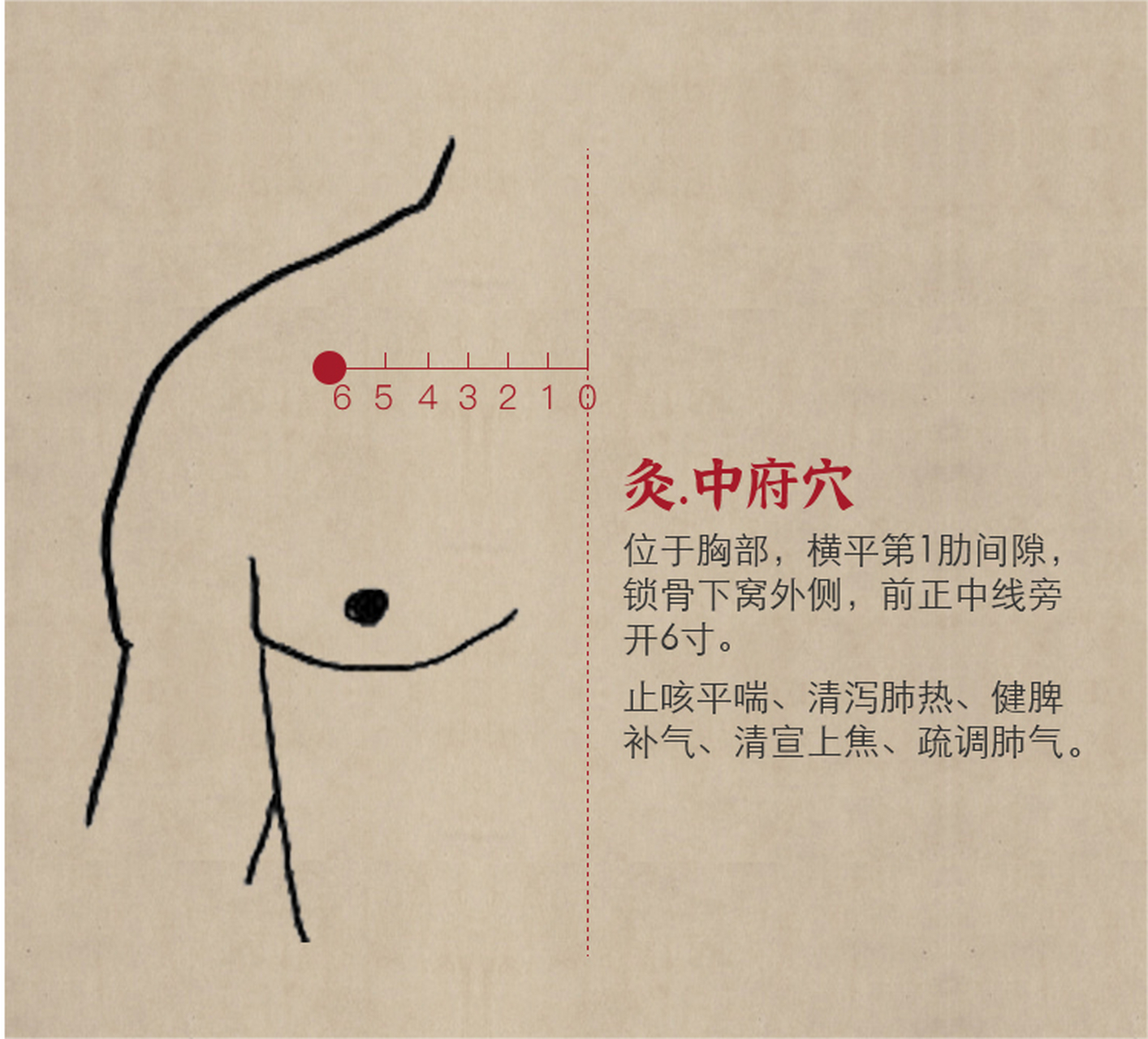中府穴有止咳平喘,清泻肺热,,健脾补气的功效,清宣