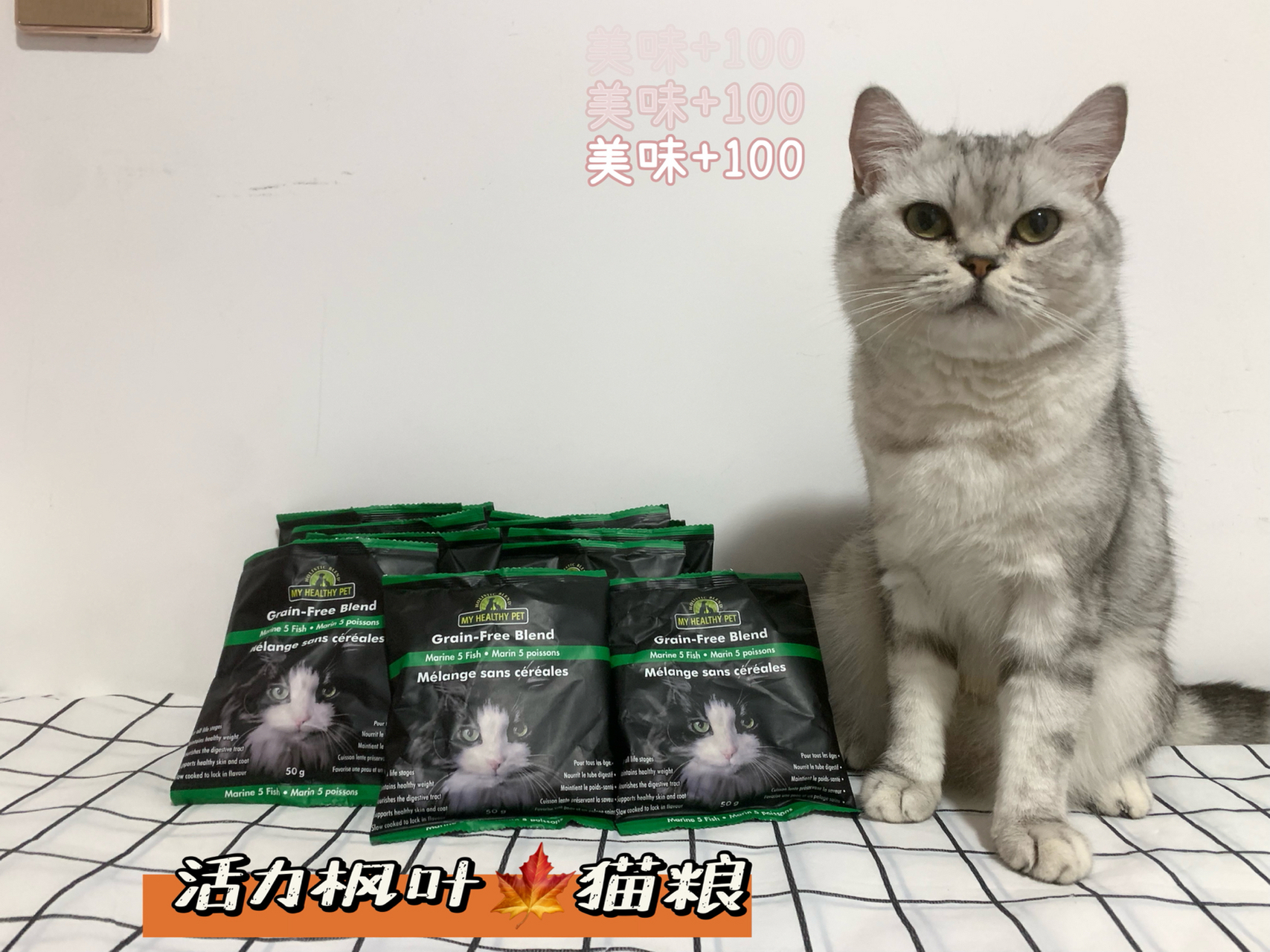 大头好物分享活力枫叶猫粮 今天整理东西找到了前段时间在它博会上领