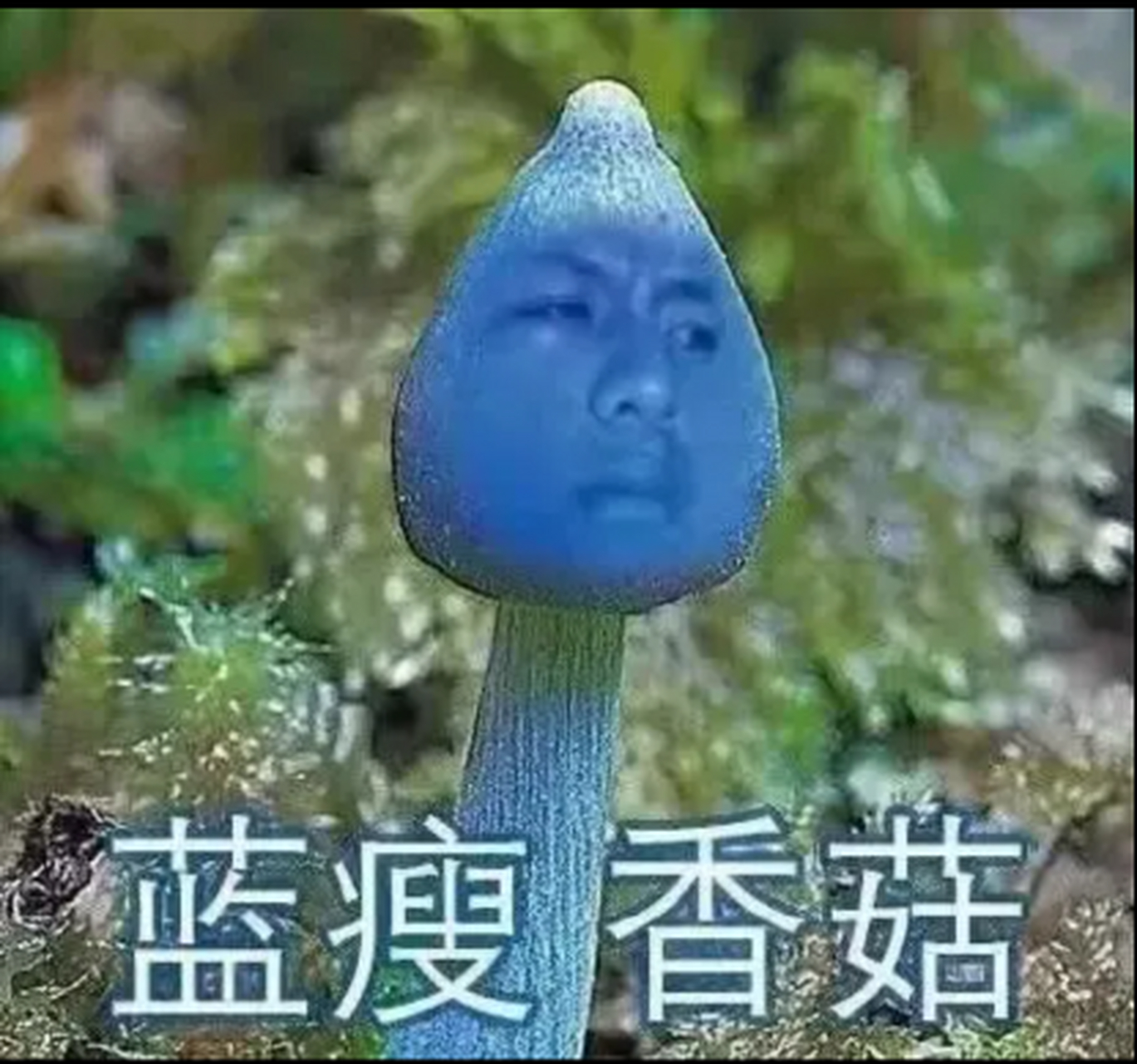 蓝瘦香菇原版图片