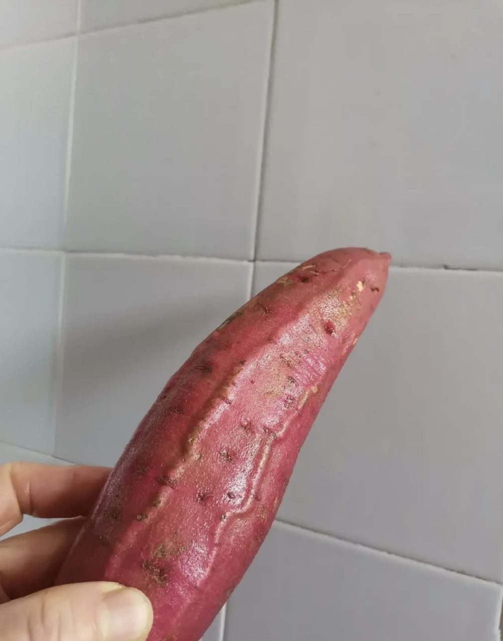 这是我的红薯,为什么看起来很奇怪#搞笑