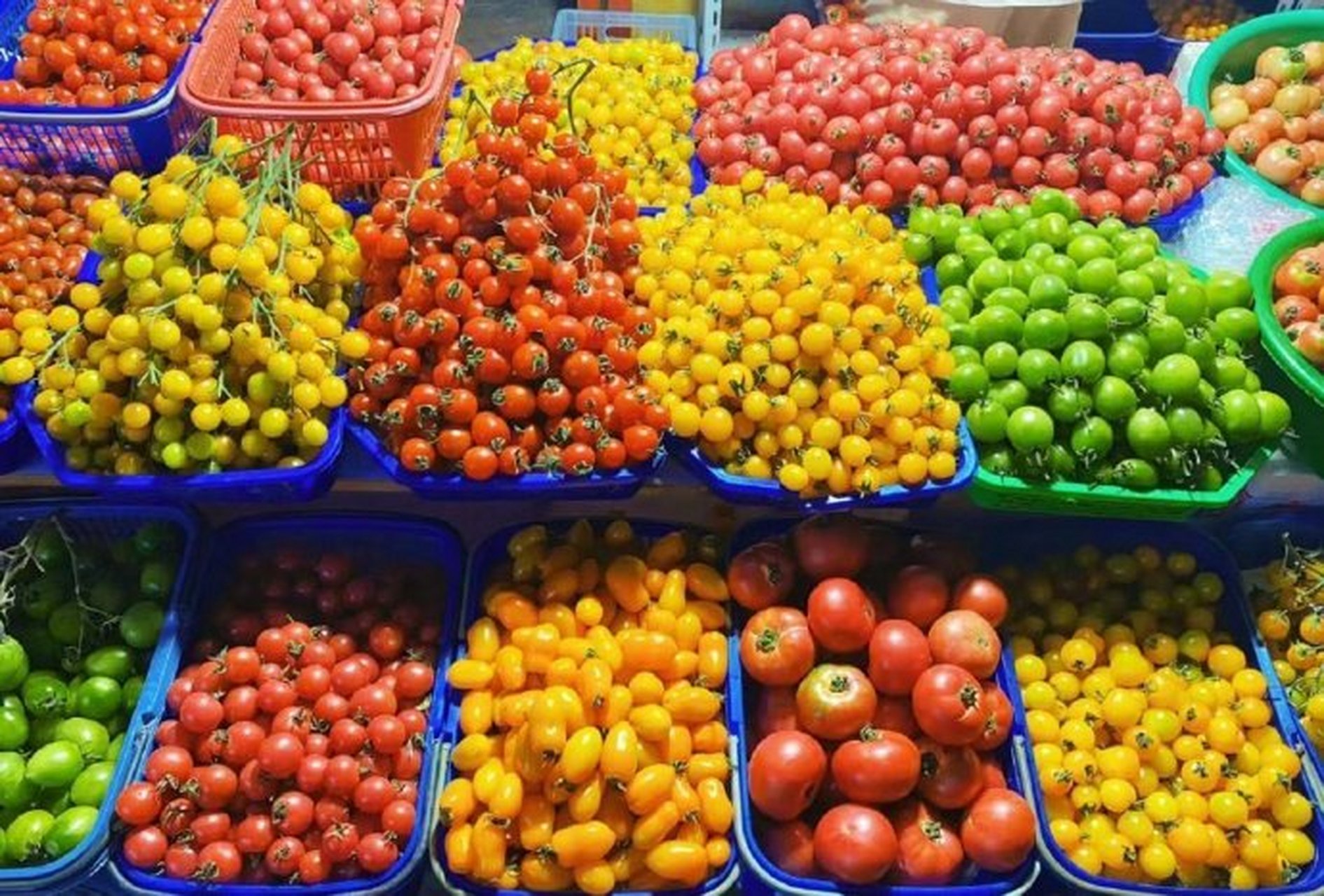 五颜六色的水果摊看起来好治愈啊