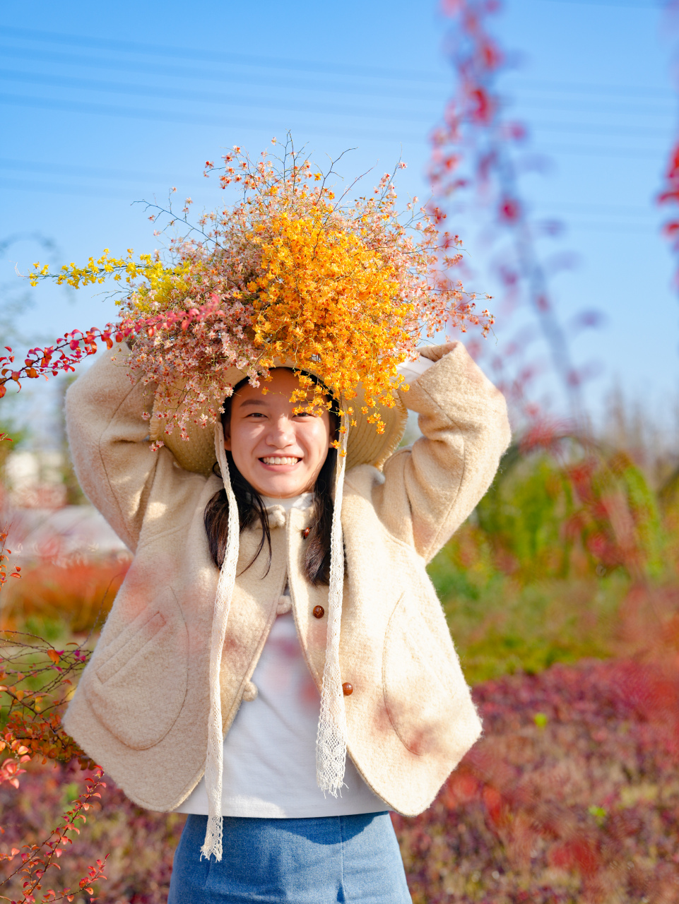 你在北方大雪纷飞,我在南方切花自由~ 文心兰切花,像彩色的满天星,有