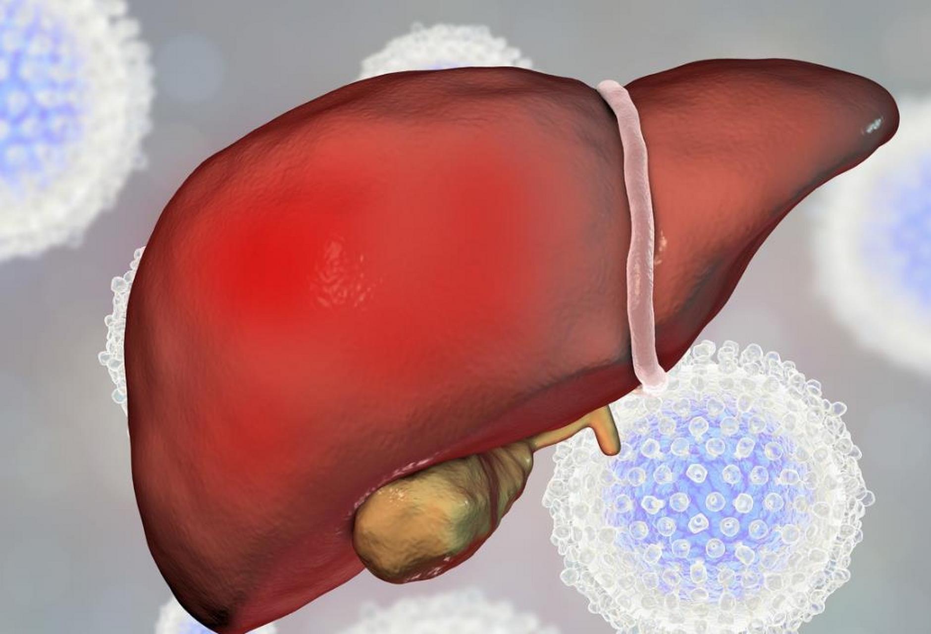 这是因为肝脏功能受损,对于胆红素不能够及时的分解,多余的胆红素就会