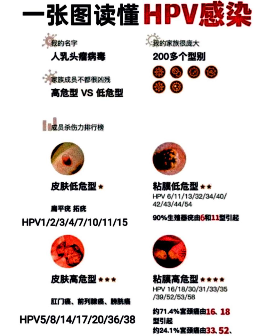 一张图教你读懂hpv 病毒带来的症状 hpv就是人乳头瘤病毒,现在我们