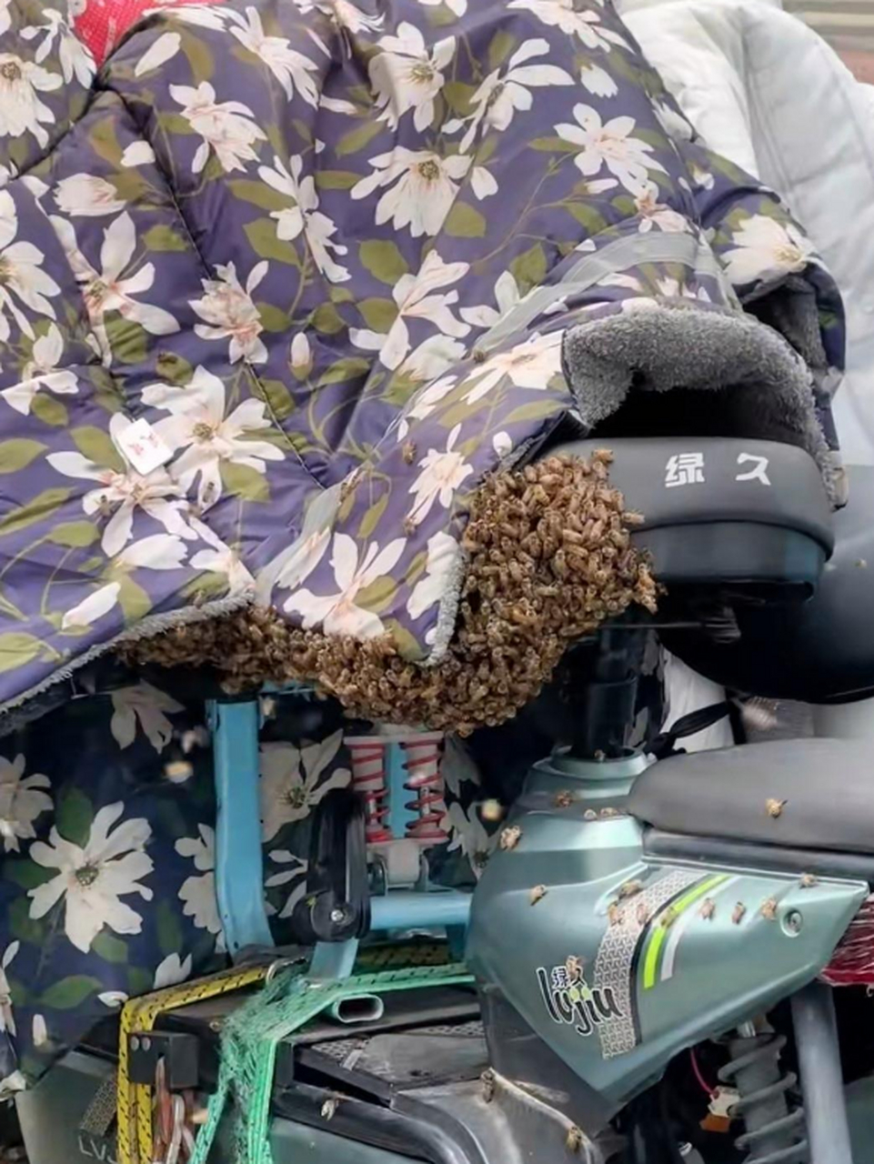 买电动车送蜂蜜吗?