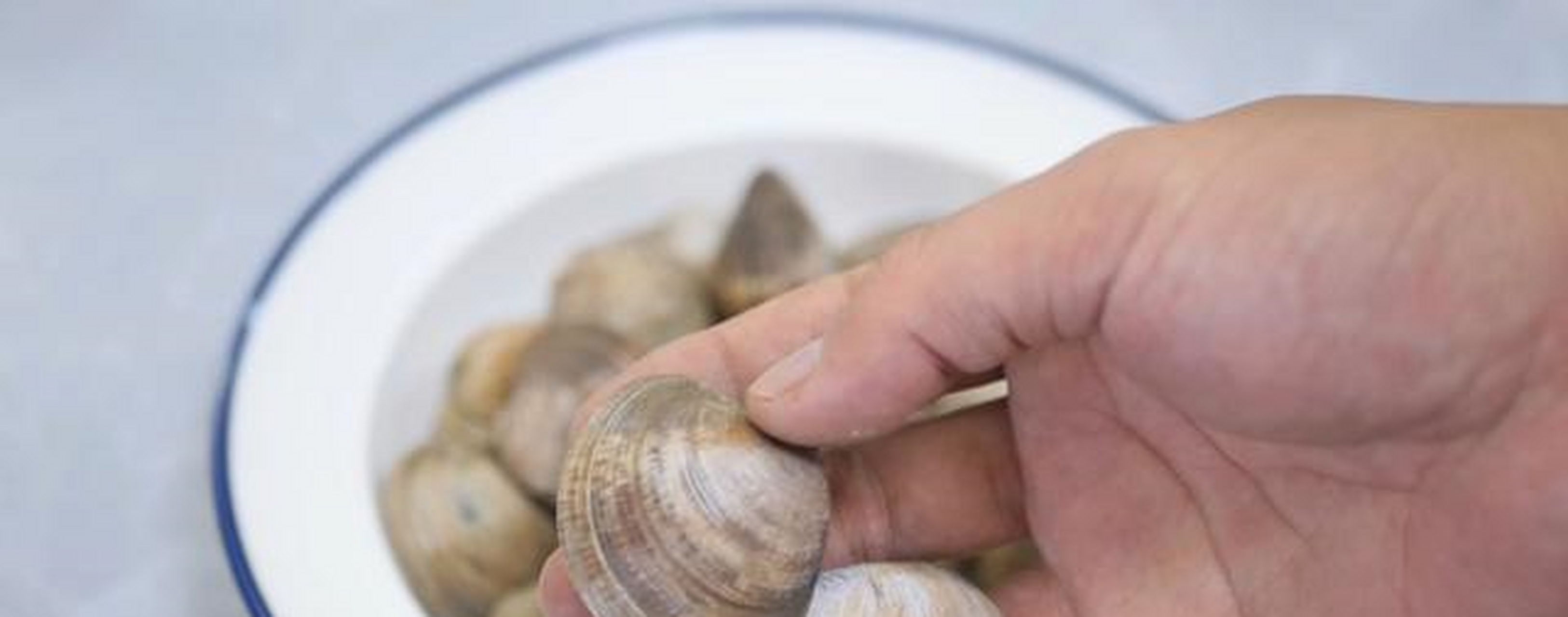 花蛤不叫花蛤,而是叫花甲,花蛤的学名又叫作菲律宾帘蛤,菲律宾蛤仔