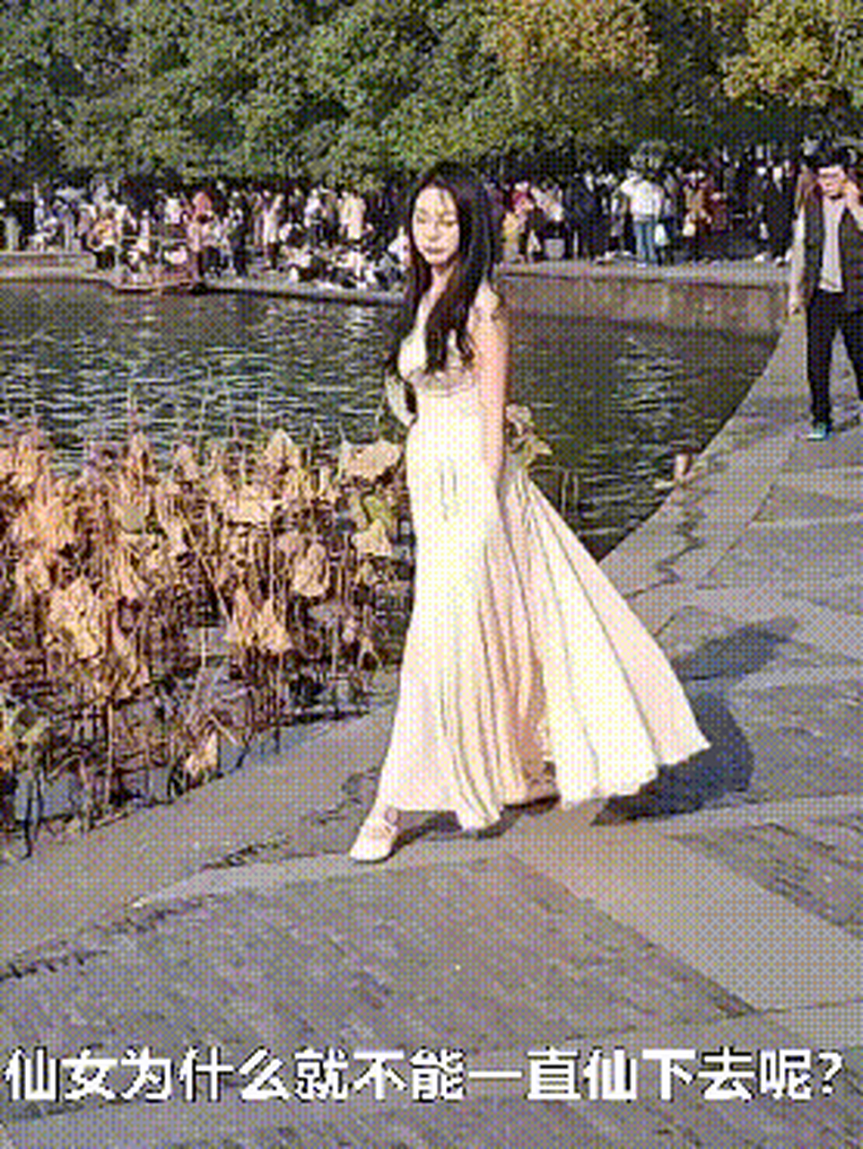 搞笑gif动图# 剧情不对,我想看仙气飘飘,这不是我想看的样子!